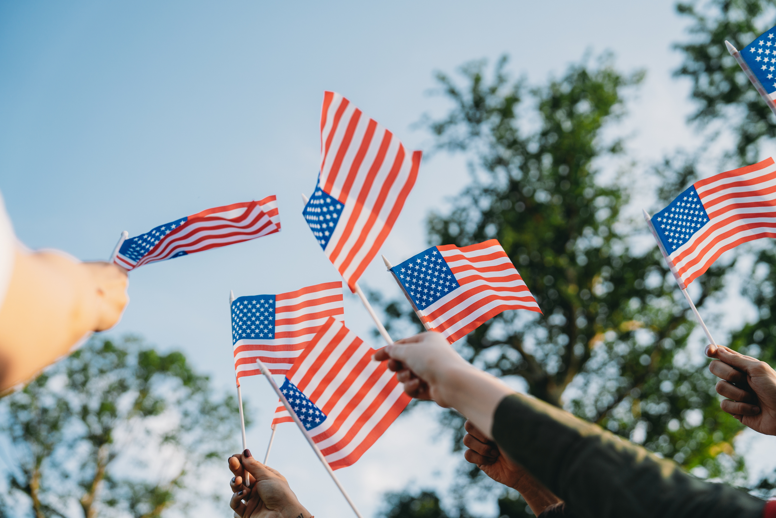 Why Voting Matters: America's 250-Year Fight for the Ballot