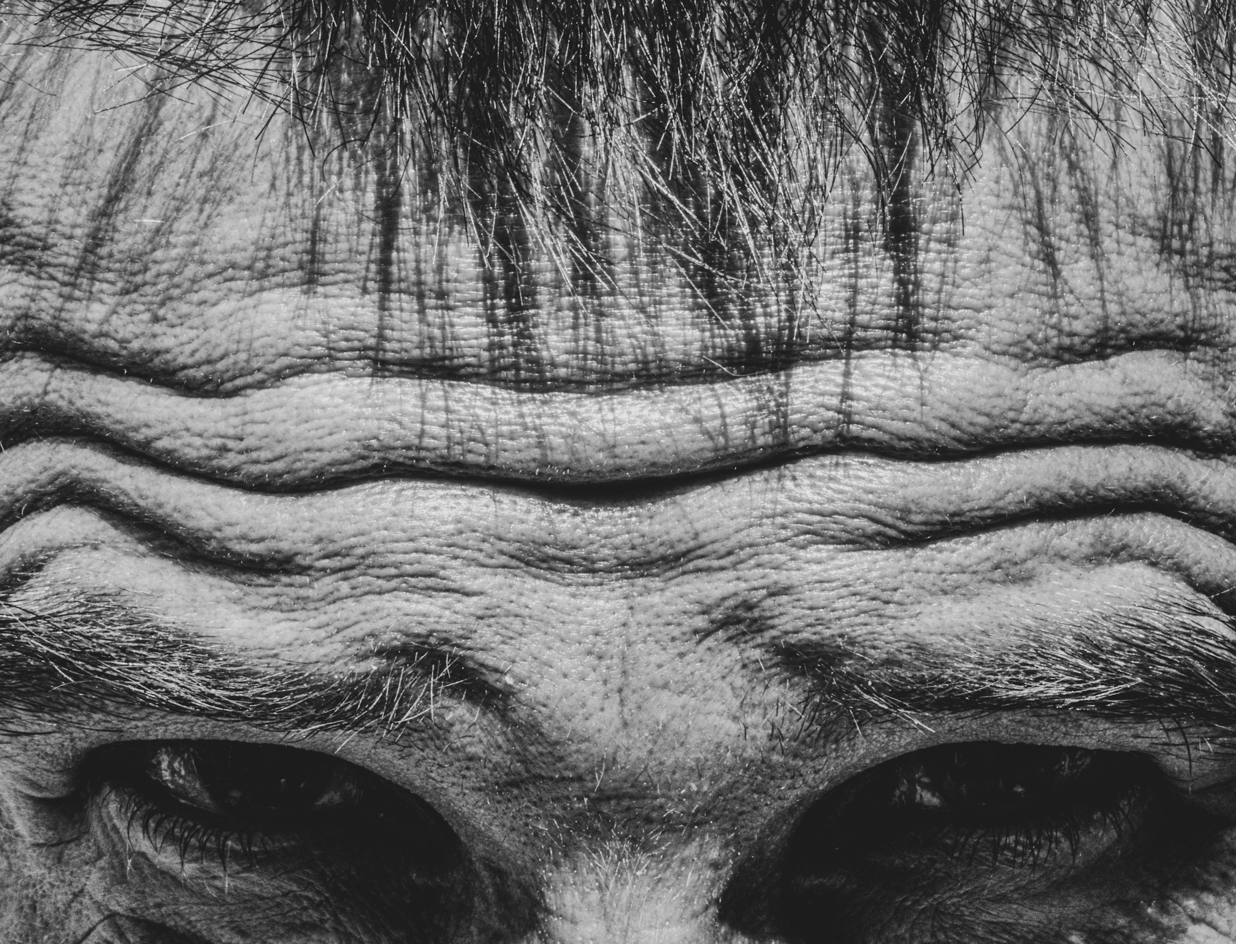 creatine, healthy mitochondrial function, resistance to oxidative stress, cellular resistance, alzheimer's, aging
