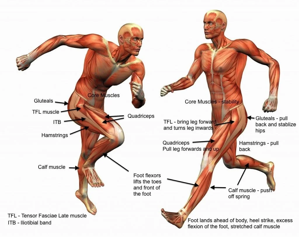runner using core muscles during sprinting