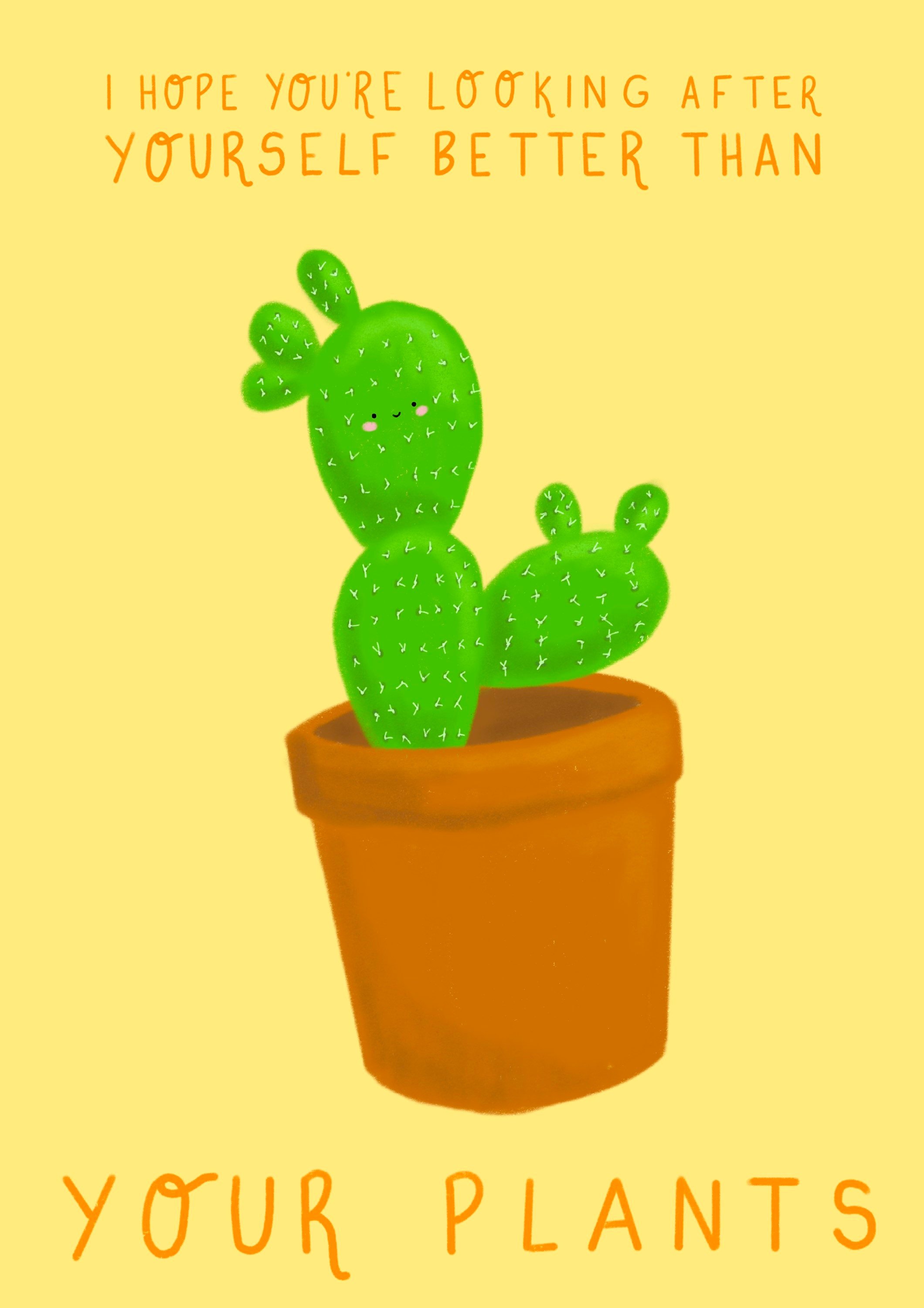 https://i.etsystatic.com/17561958/r/il/0d26c4/3450384675/il_fullxfull.3450384675_5zdz.jpg
