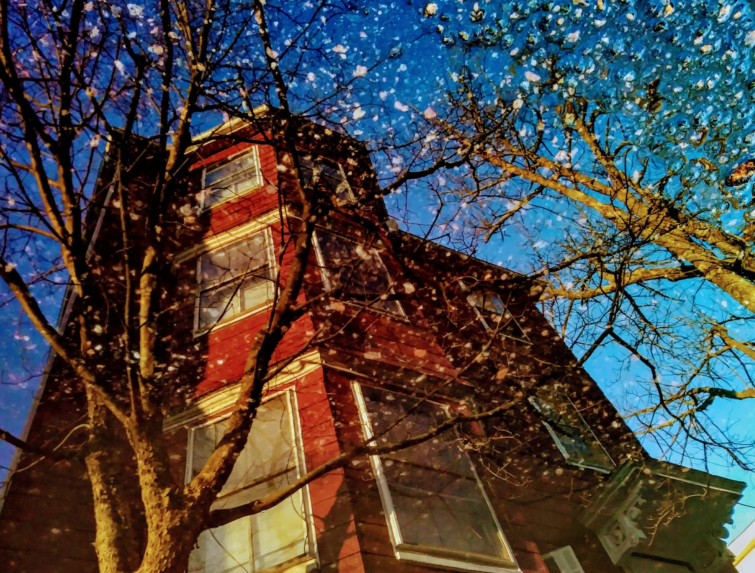 Brookline Puddle.jpg