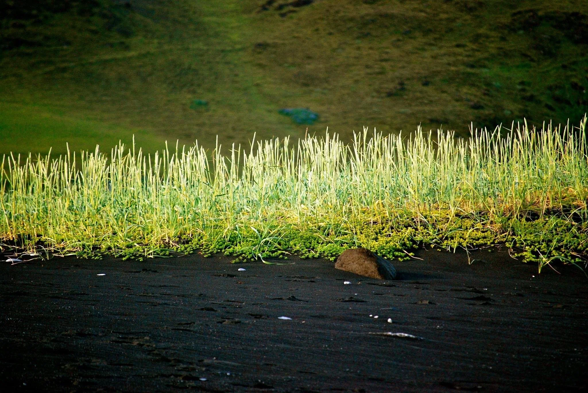 blacksandbeachiceland.JPG