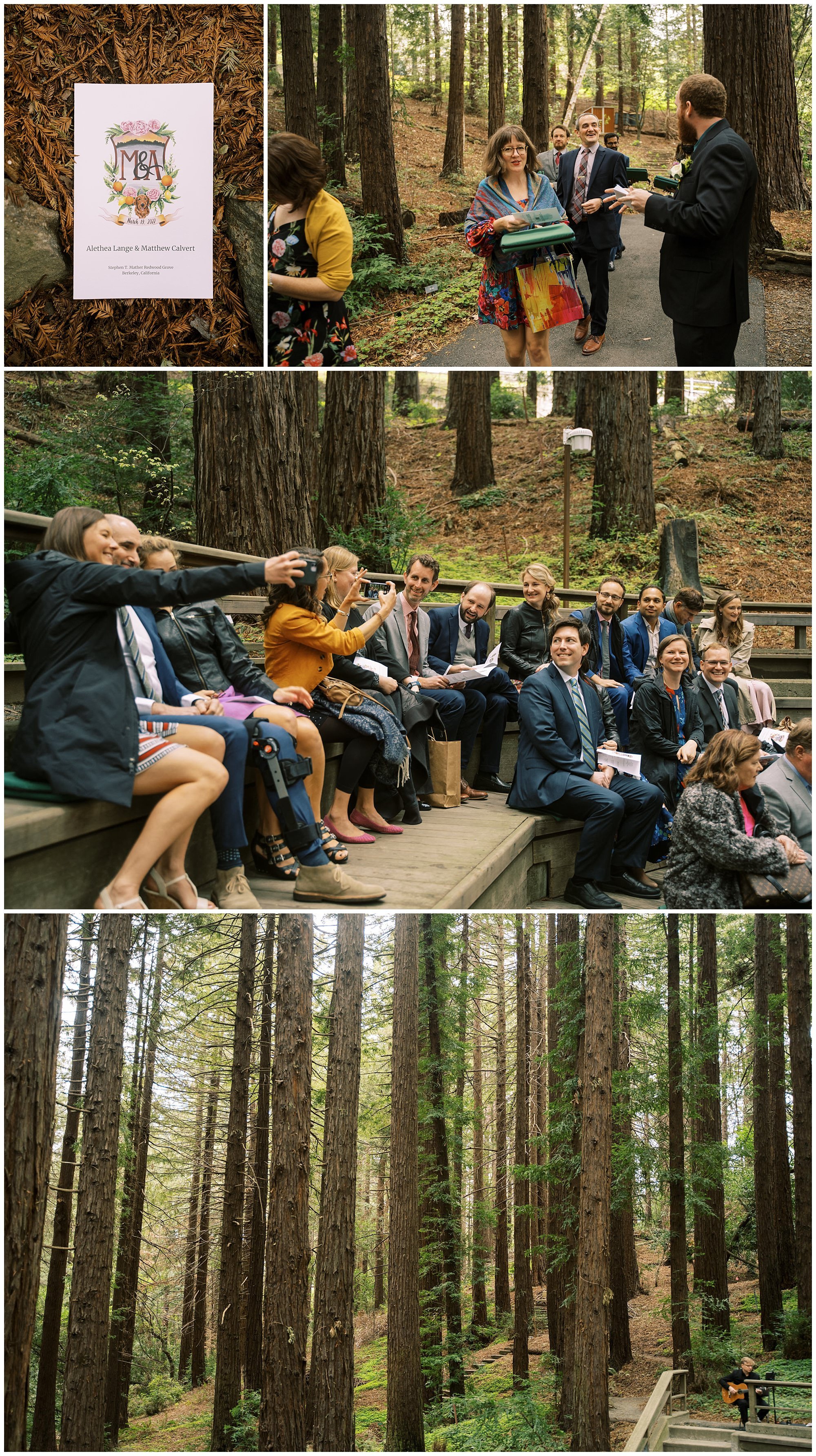 Berkeley Botanical Garden Redwood Grove Ceremony (5).jpg