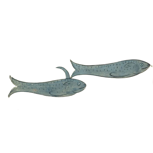 Two illustrated fish with gray bodies and yellow accents near the tail, both facing to the right.