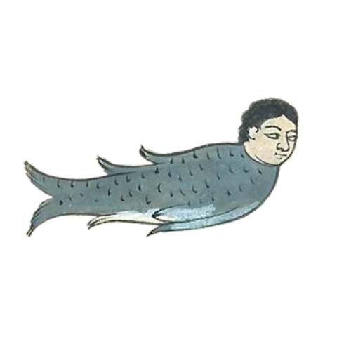 Illustration of a creature with a human face and a fish body, with a red tail fin.