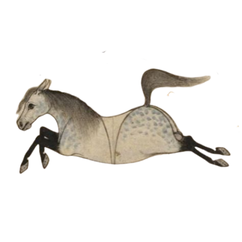 A running horse from medieval artwork in an old fashioned, ancient style.