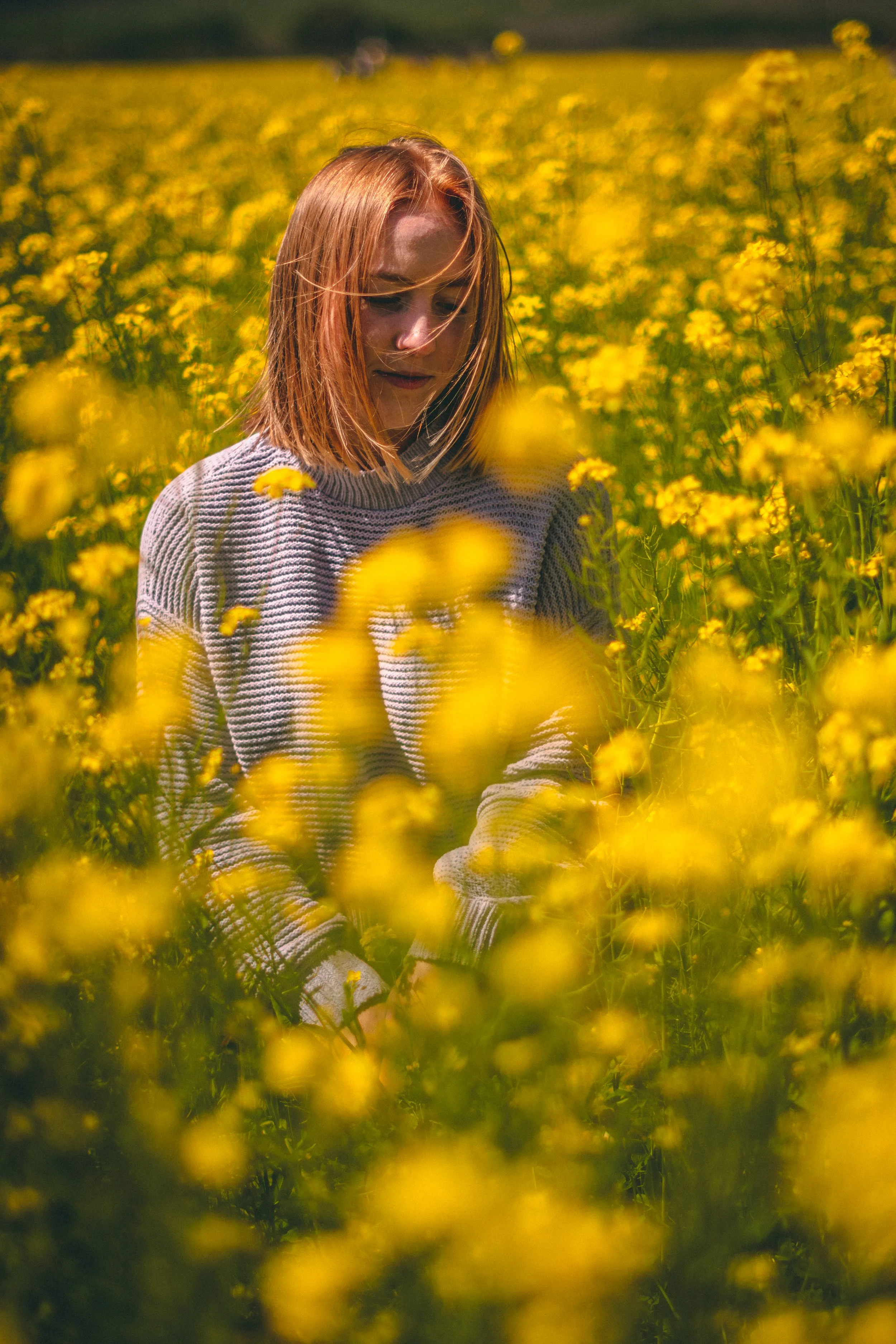 LarissaYellowFlowerPatch (1 of 1).jpg