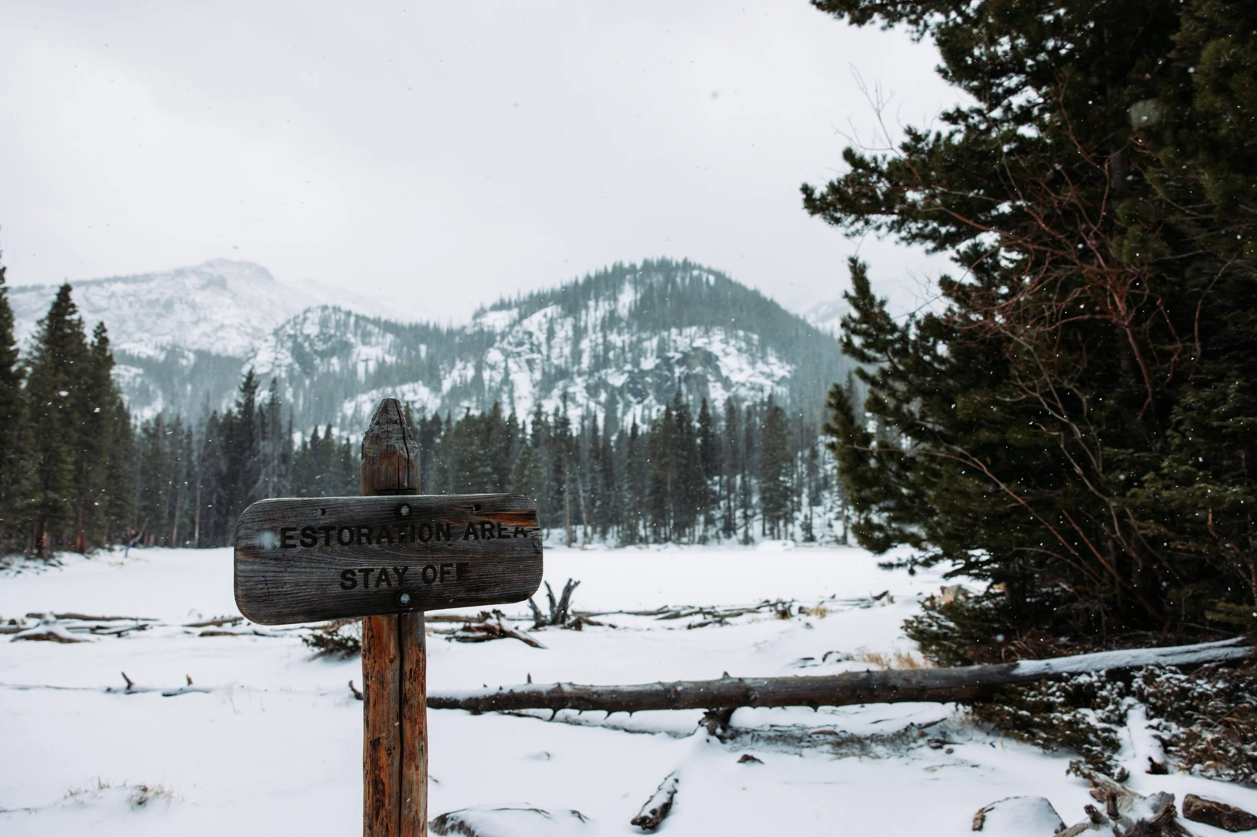 Snow-covered landscape with a wooden sign stating 'Restoration Area Stay Off', surrounded by trees and mountains in the background.