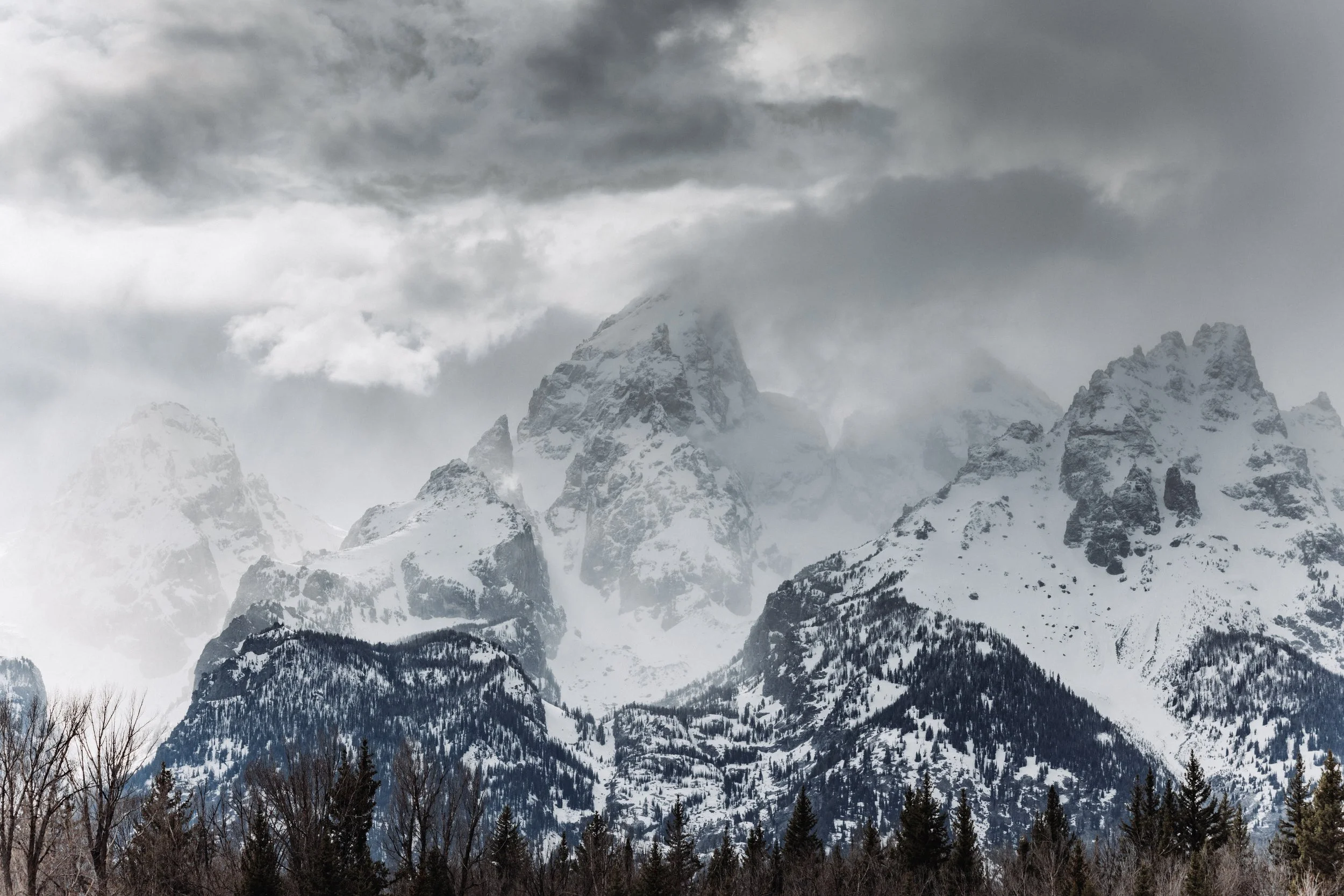 Snow-covered mountain peaks under cloudy sky, foreground of trees.