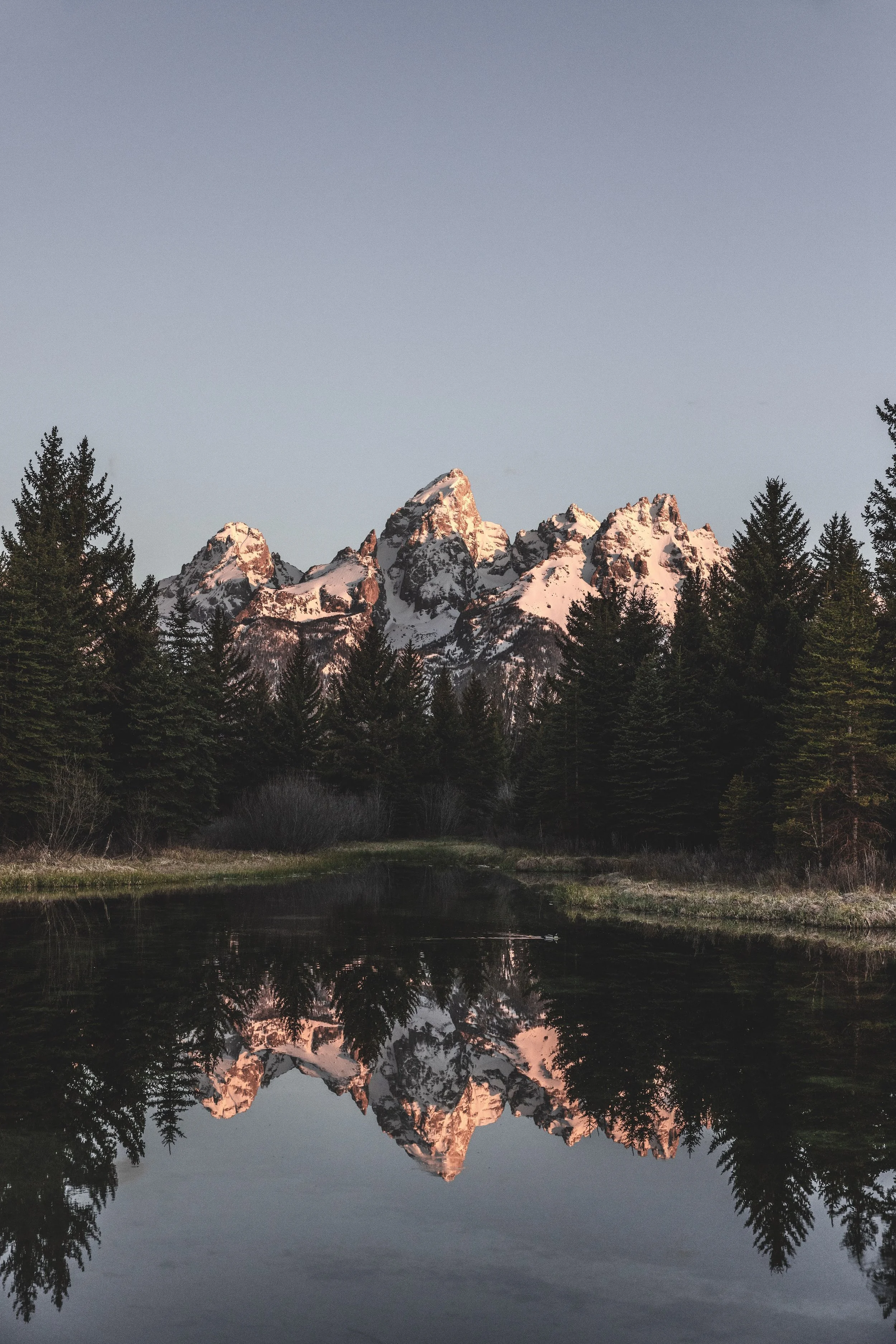 Mountain landscape with snow-capped peaks reflected in a calm lake, surrounded by pine trees, under a clear sky.
