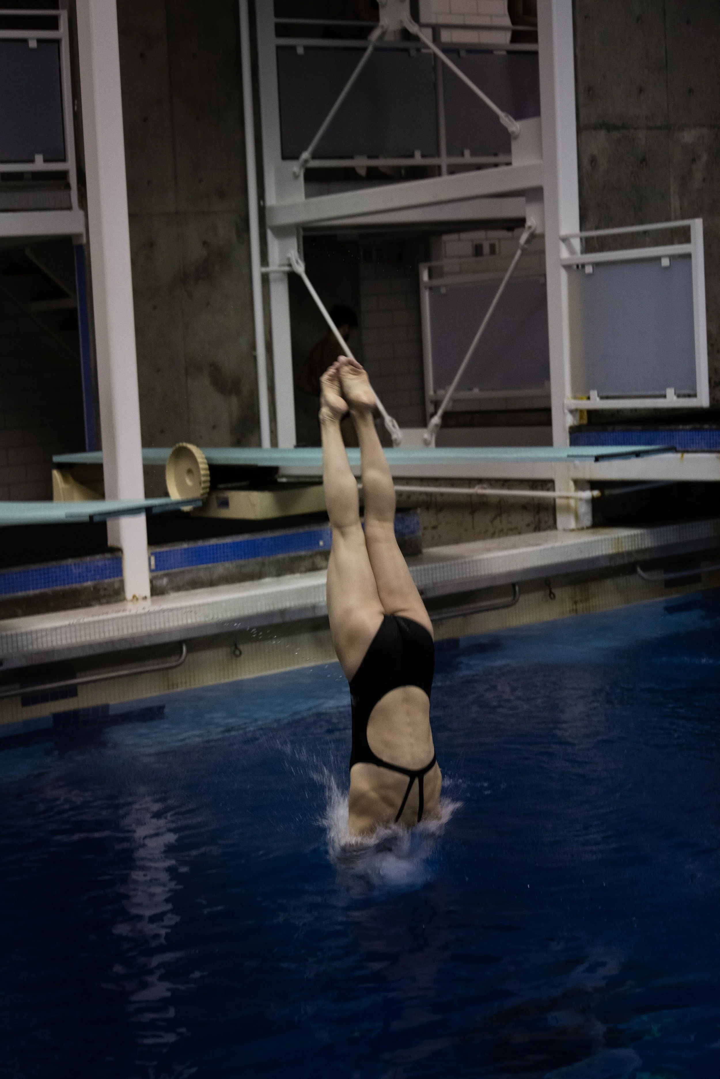 SwimDive2022 (44 of 44).png