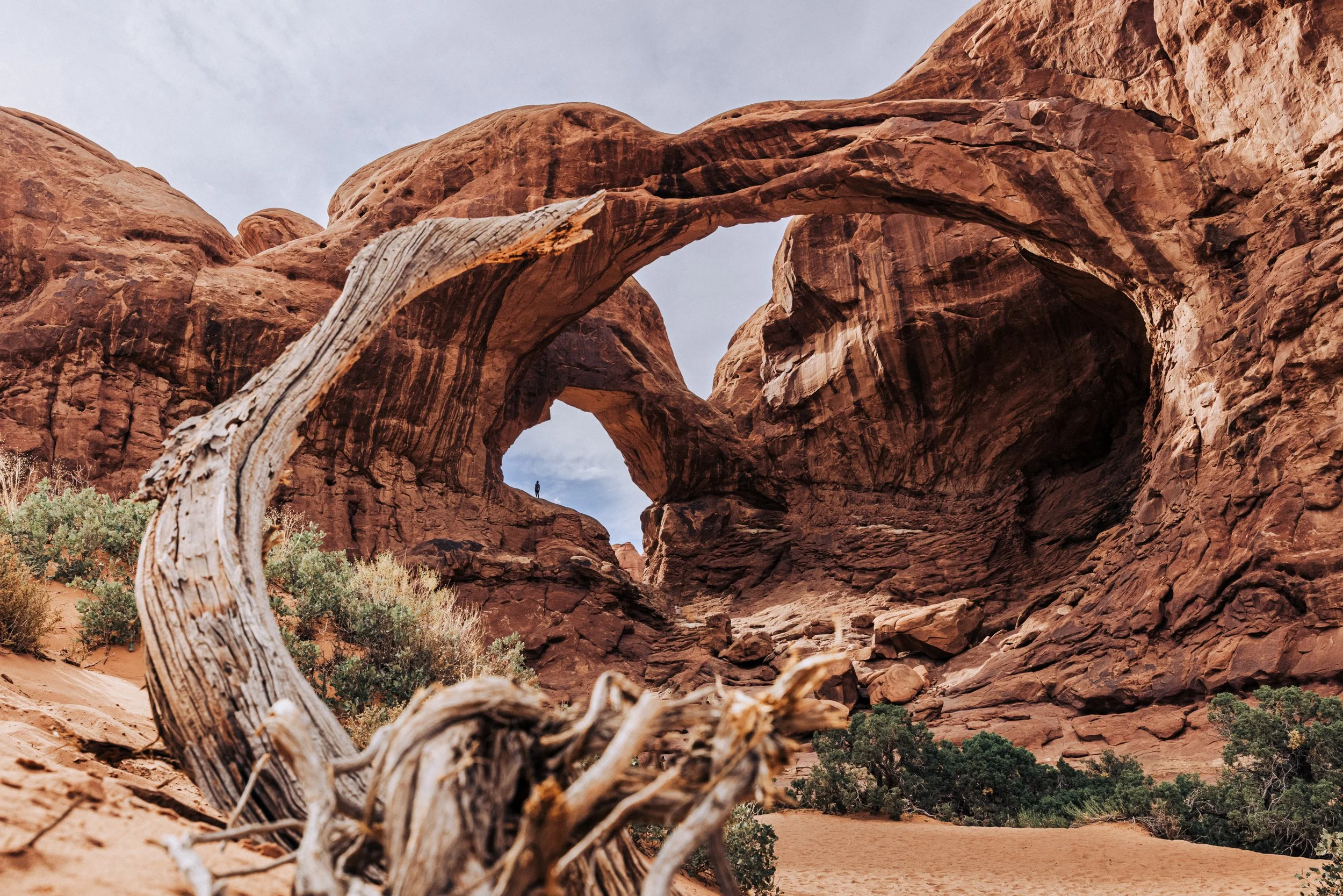 Double Arch rock formation in desert landscape, Arches National Park, with dry vegetation and clear sky.