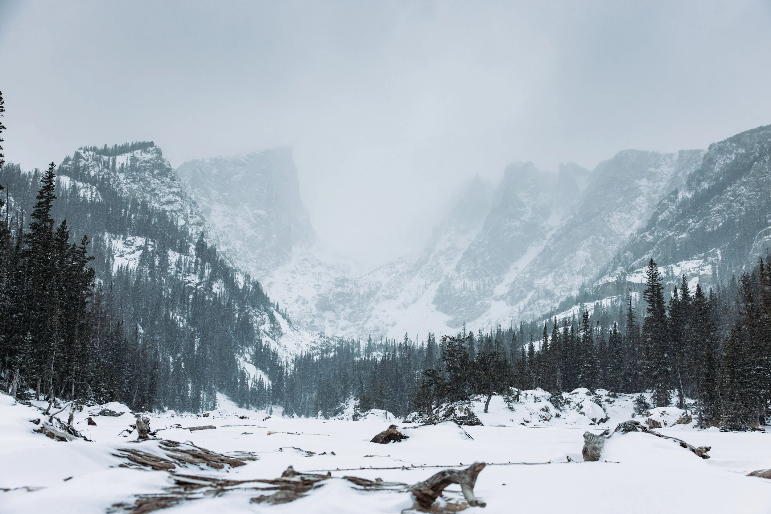 Snow-covered mountain landscape with pine trees and cloudy sky.