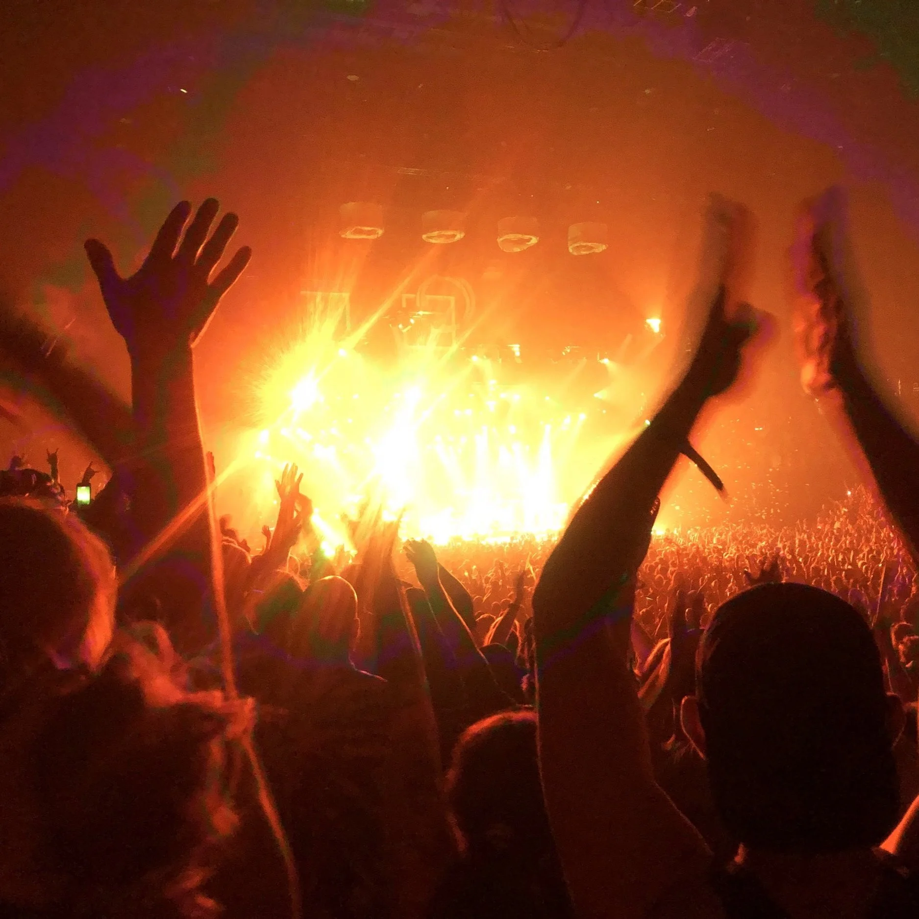 what does it mean to be alive right now?