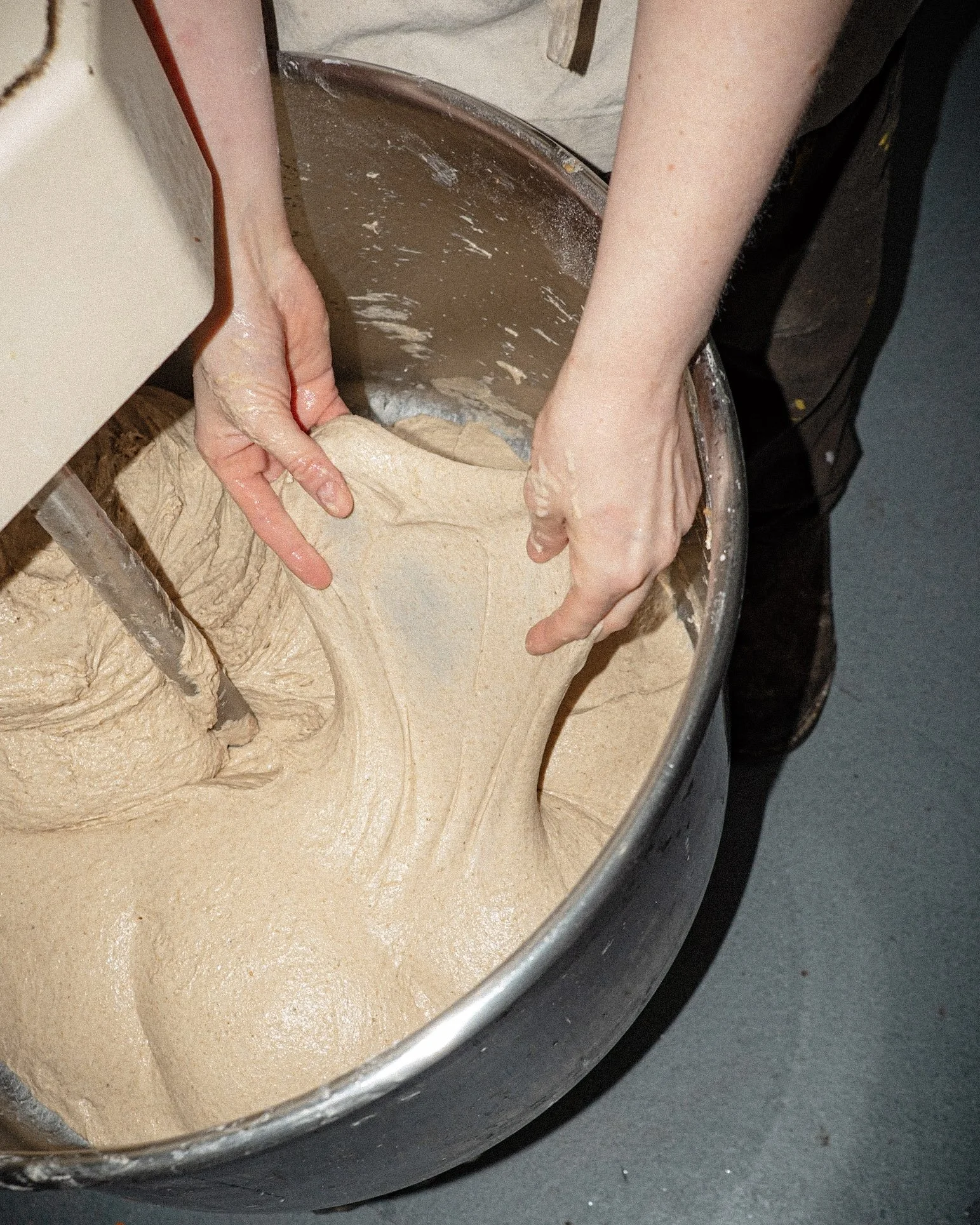 Intro to Sourdough Bread Weekend