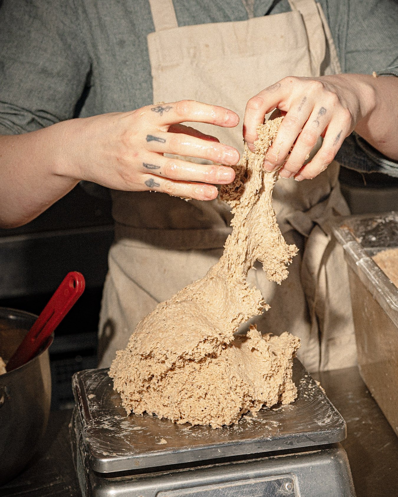 Alternative Grains for Food Industry