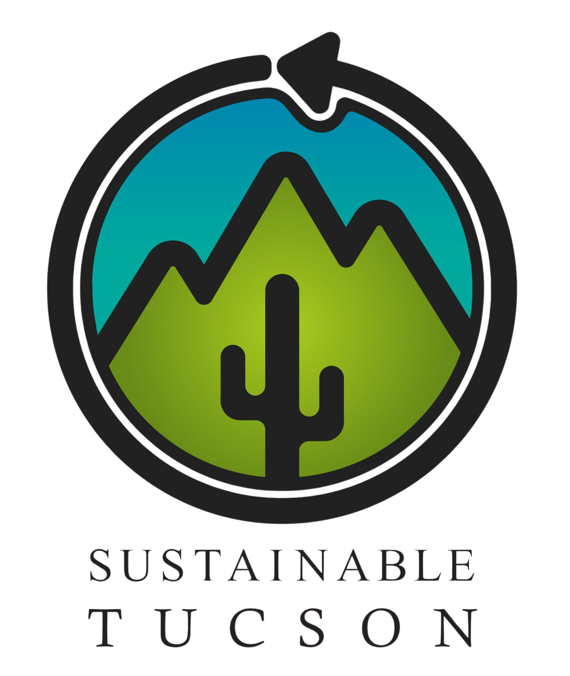 cropped-New-ST-Logo-Color-3 - Edited.png