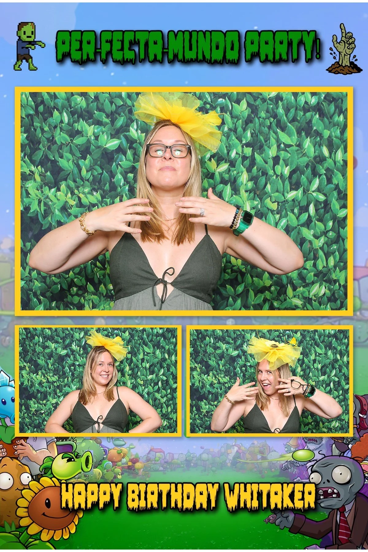 Plants vs Zombies birthday photo booth in Whitehouse Station NJ
