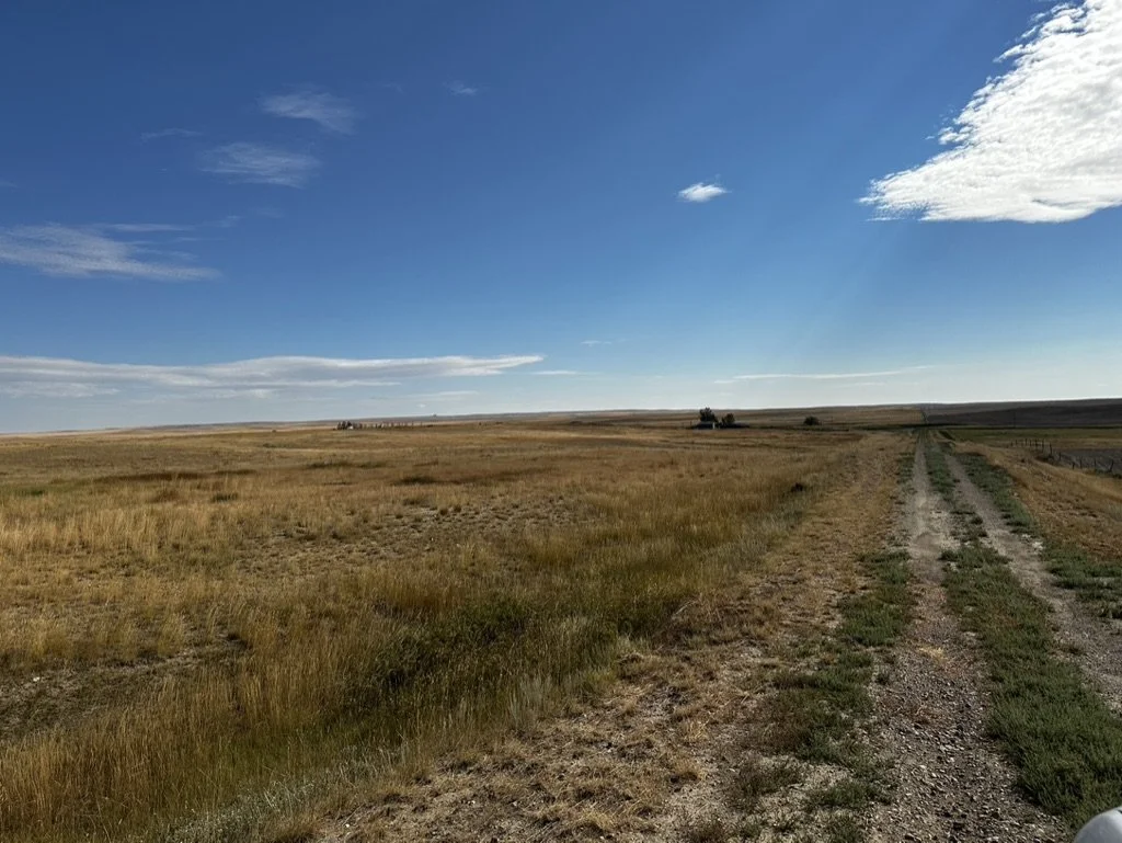 4B426D16-A4ED-4083-BC58-96746986B021_1_105_c.jpeg