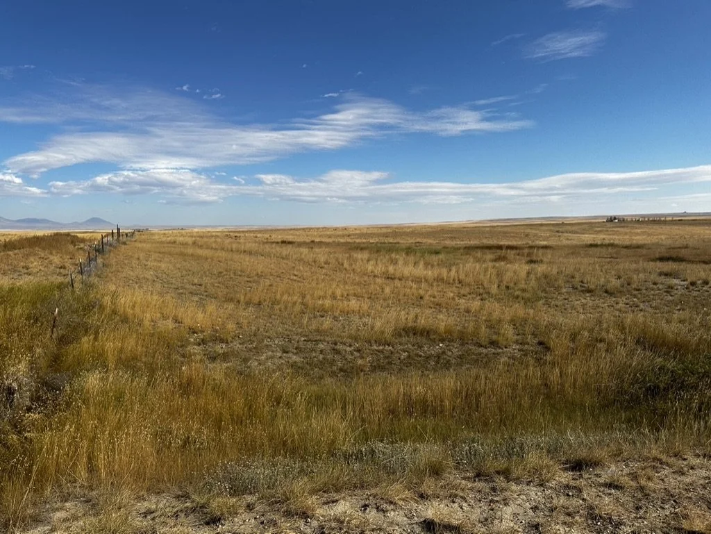 23DE2605-796D-4708-B1D2-3F8AD94F81FA_1_105_c.jpeg