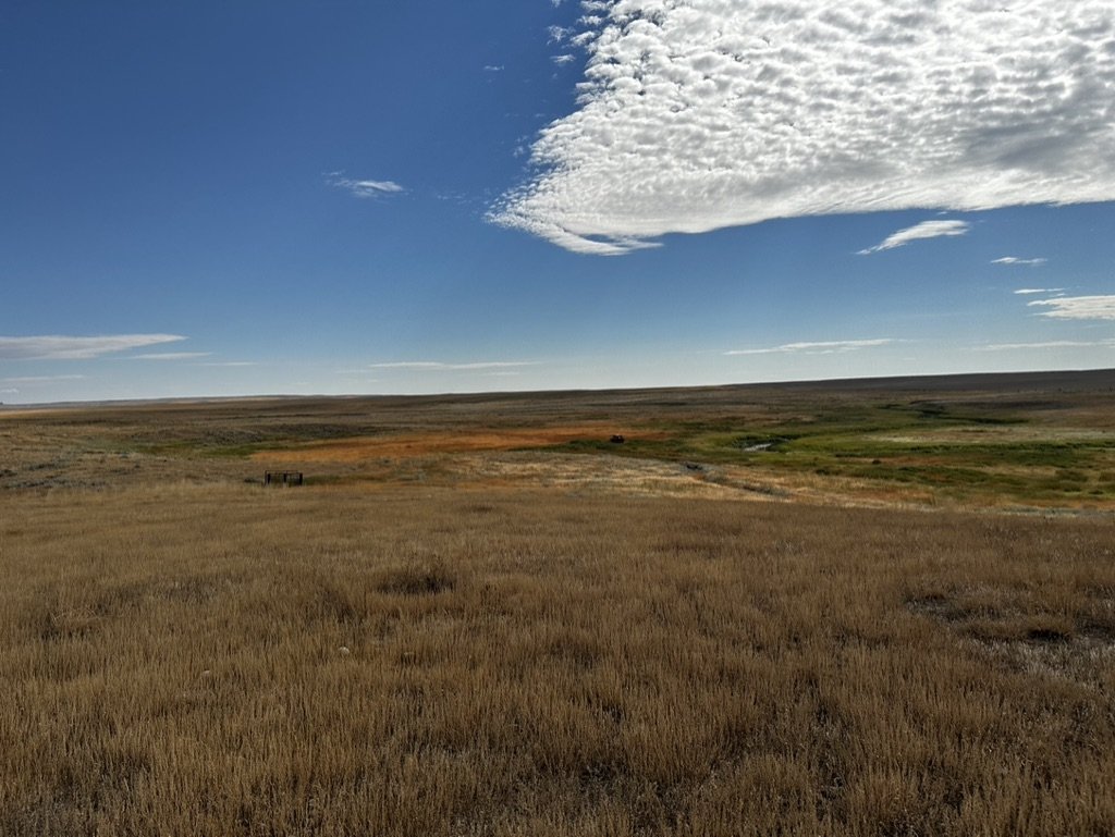 915DC1F9-EBCE-41EC-B30A-DDA4532F2ABC_1_105_c.jpeg
