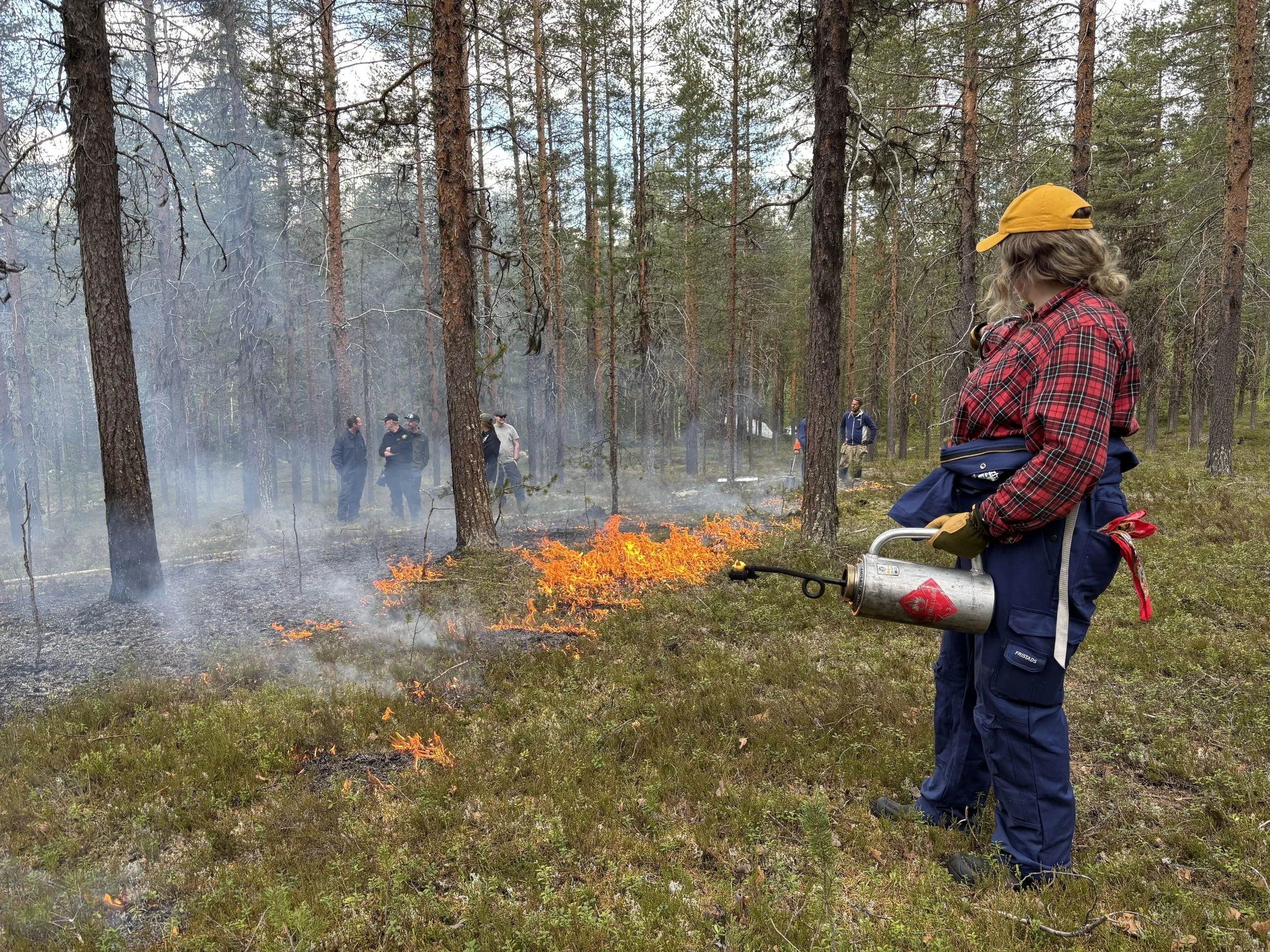 tändn.jpg