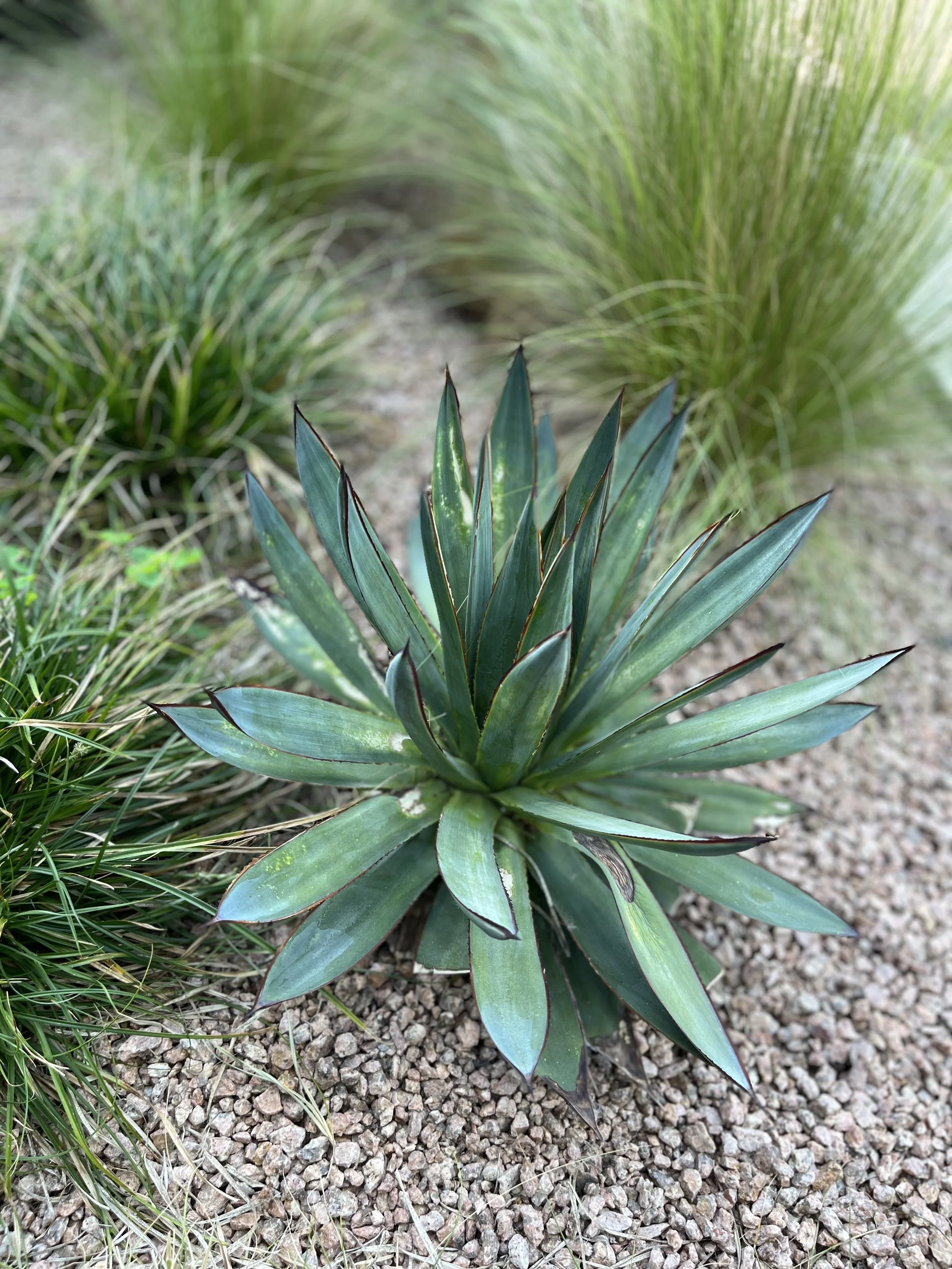 a letter to my younger self…