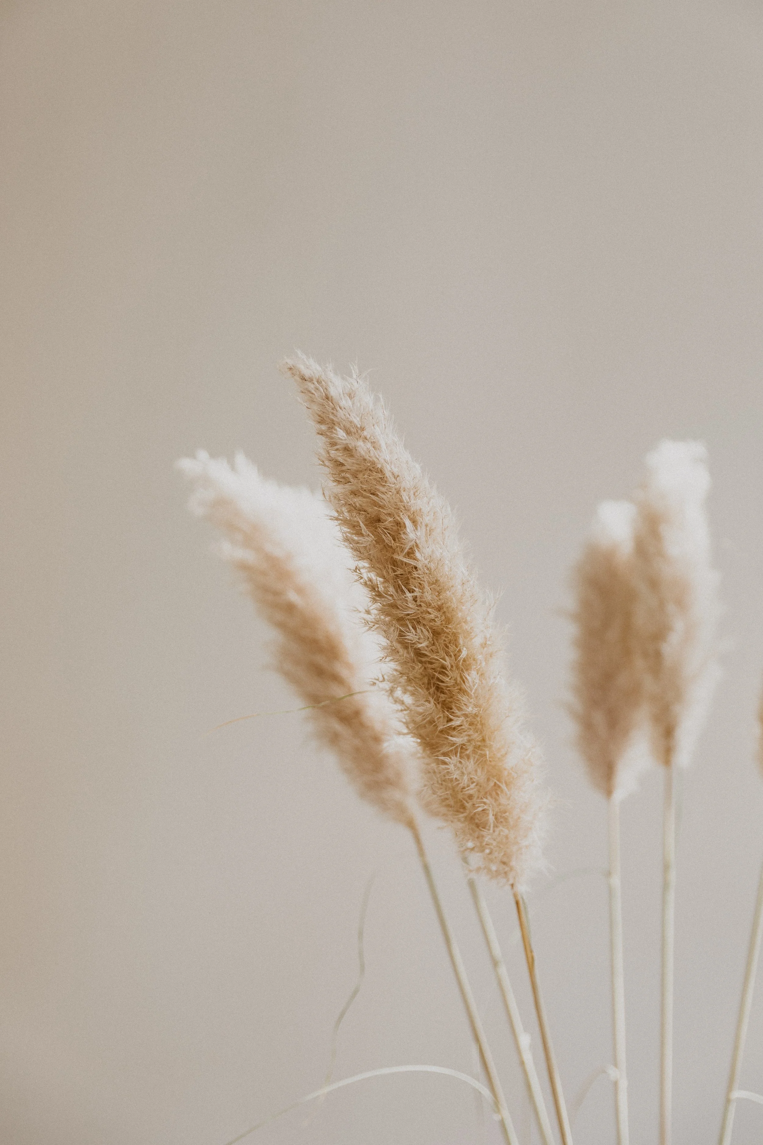 Writing as an Empath