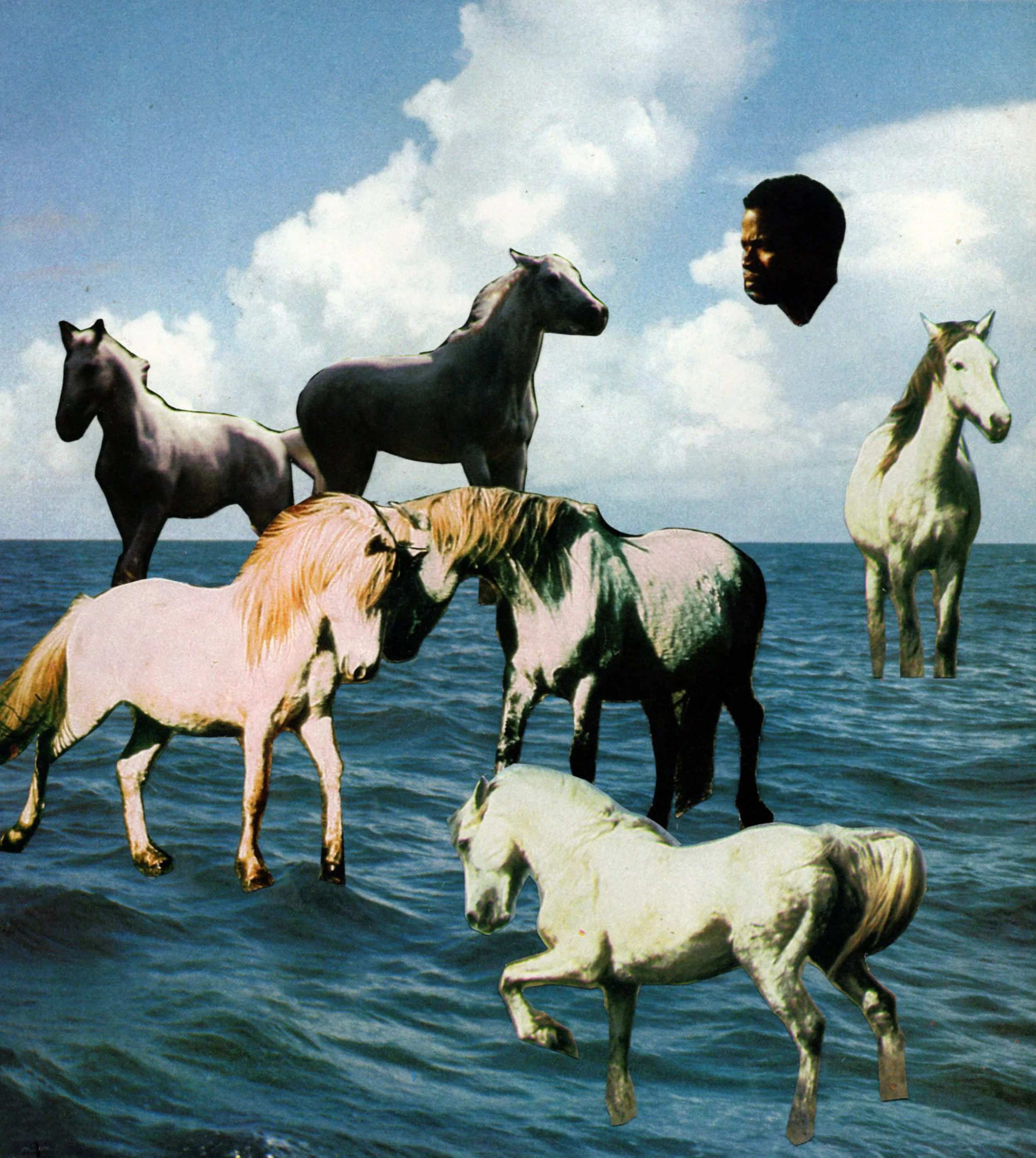 Cooper_After Empires Fall_2024.jpg