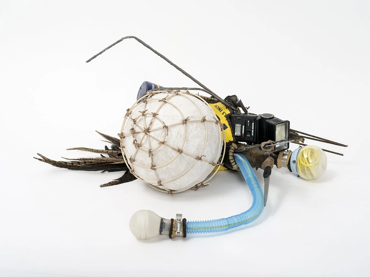Ratus Bulbus (thinking bulb).jpg