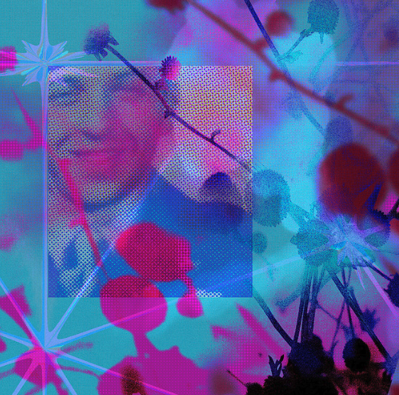 Flowers for Frank (1:10).png