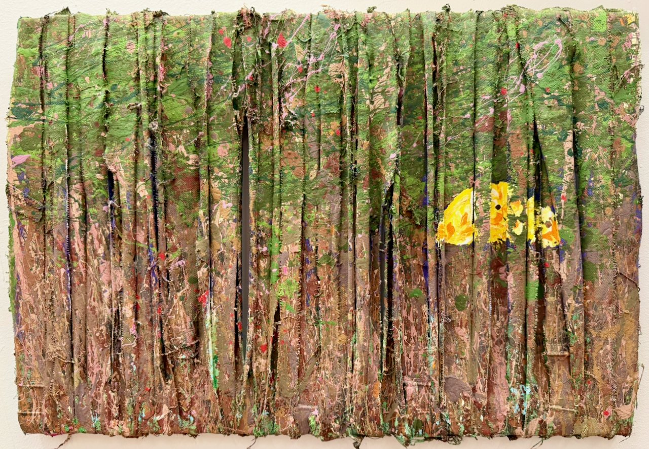 07_Nolan_Forest #12.jpeg