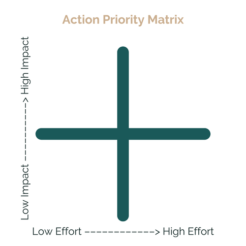 Ep 55: Project Prioritization Made Easy: How to Use the Action Priority ...