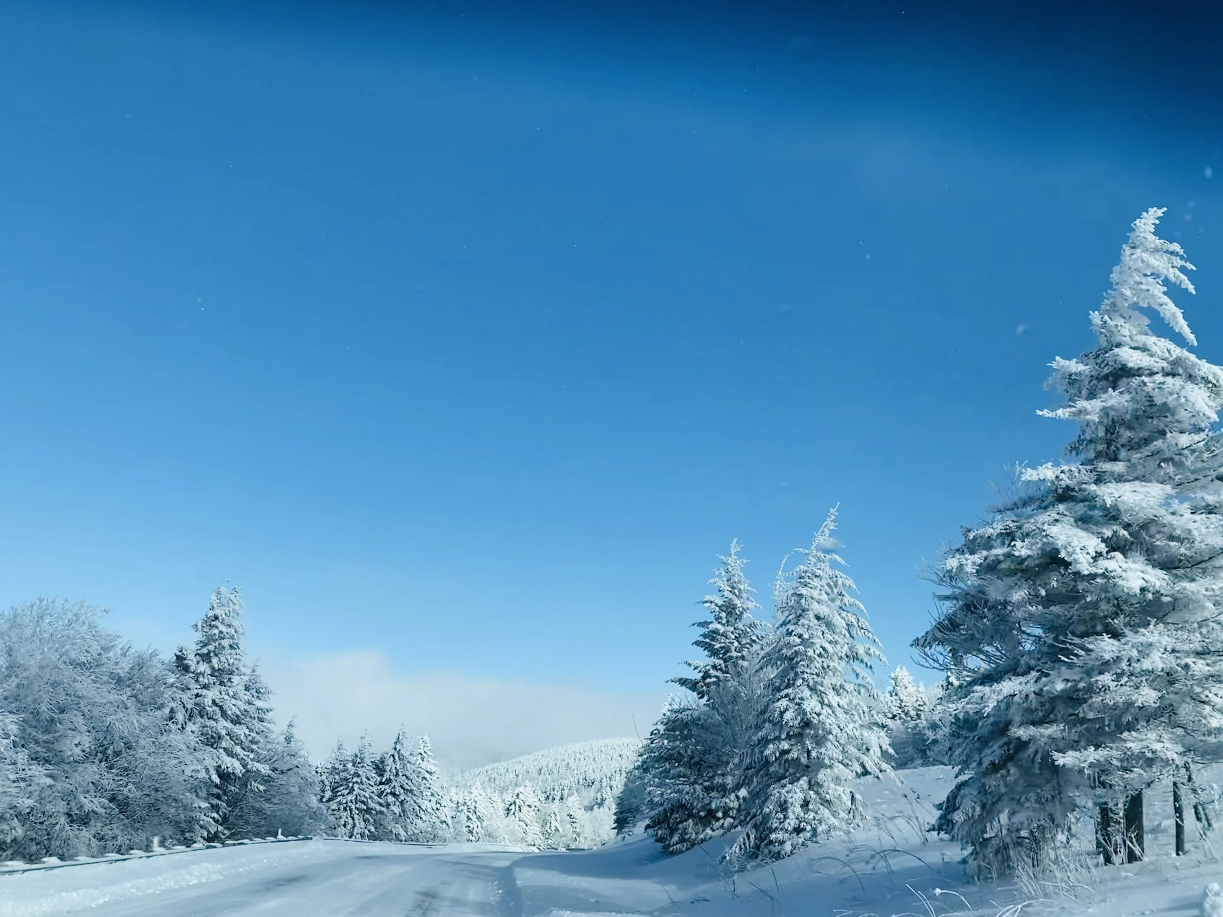 New Year, Still Winter