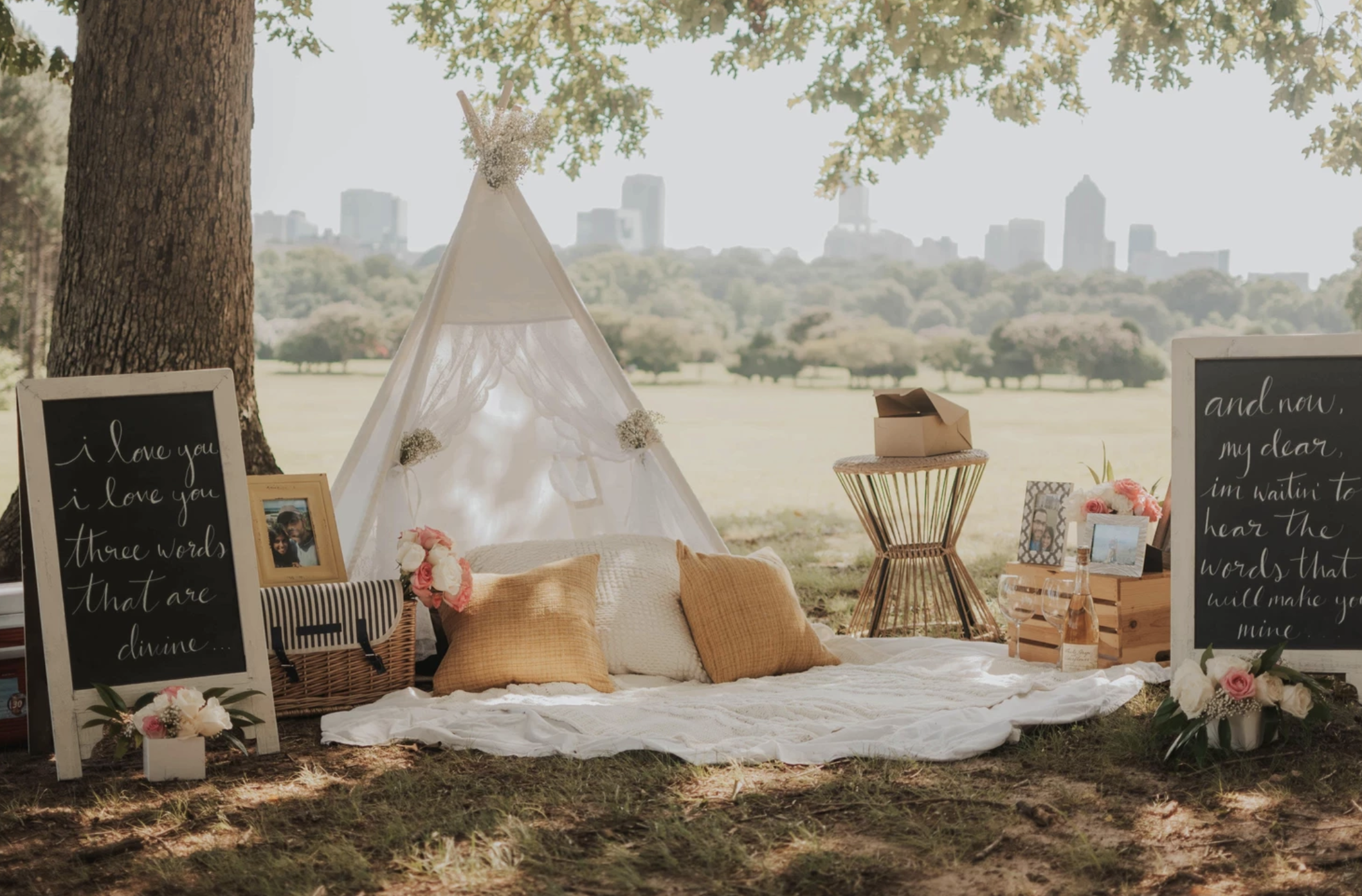 Romantic Picnic Raleigh Proposal