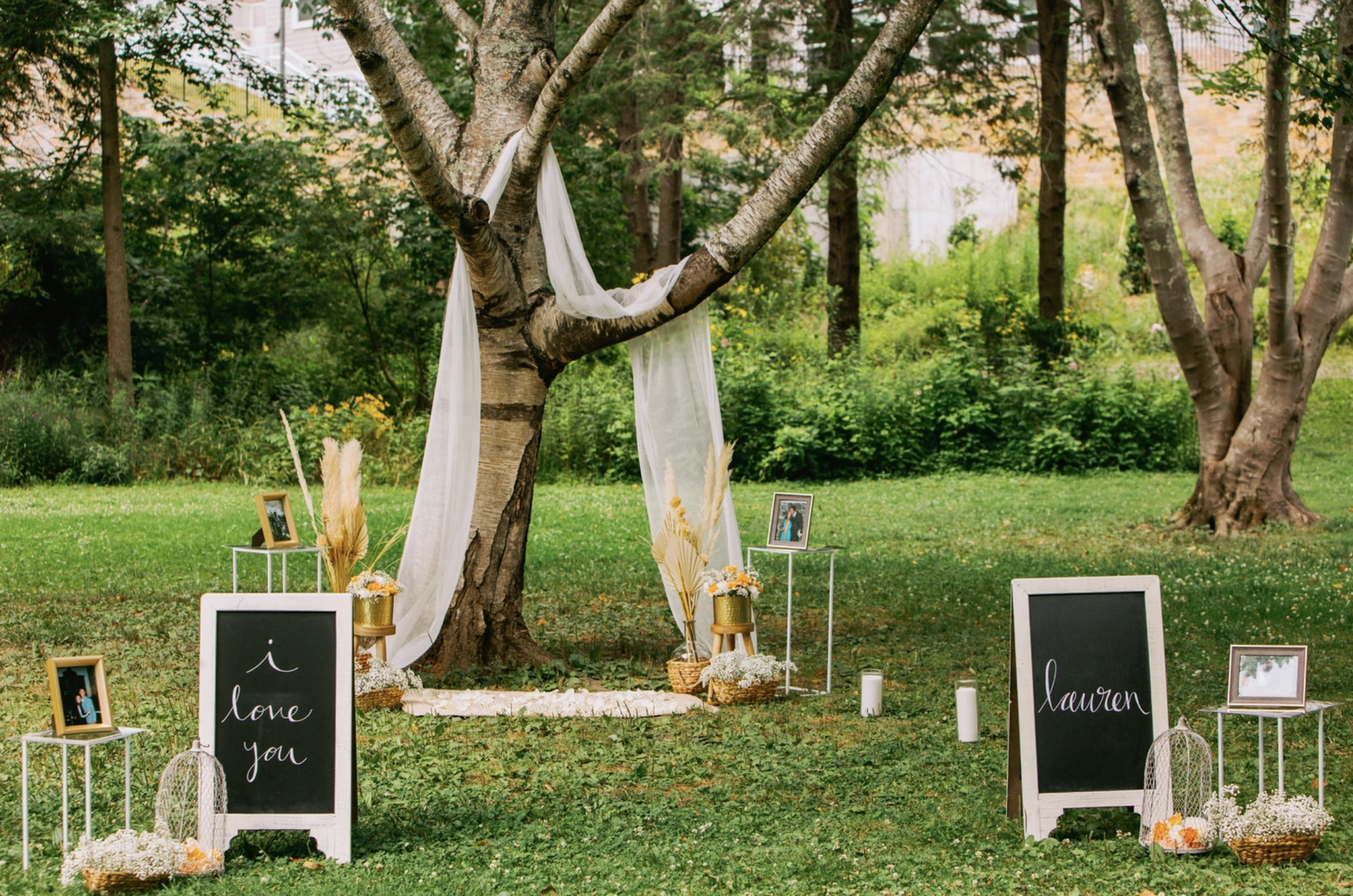The Botanical Gardens at Asheville Proposal