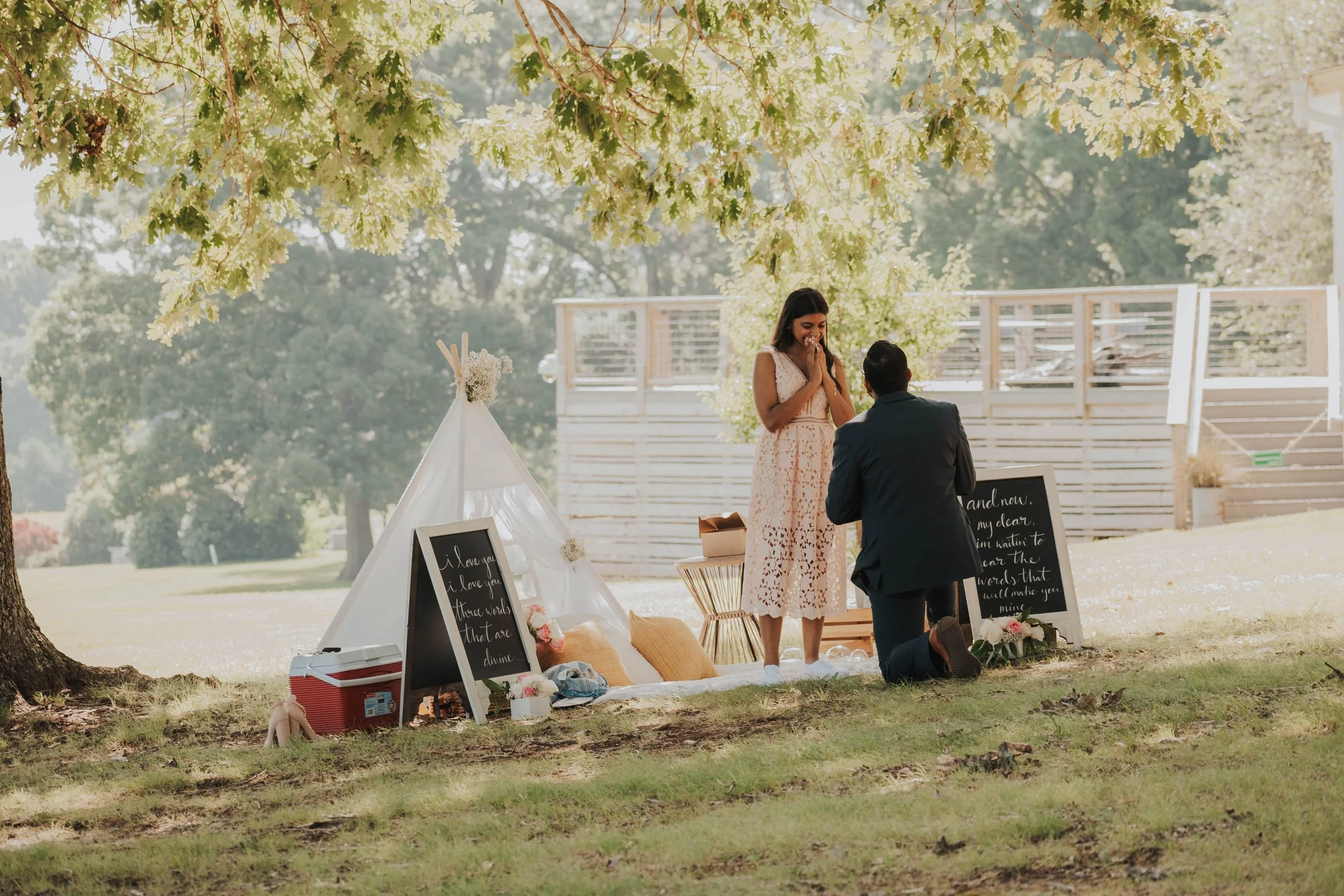 Romantic Picnic Raleigh Proposal