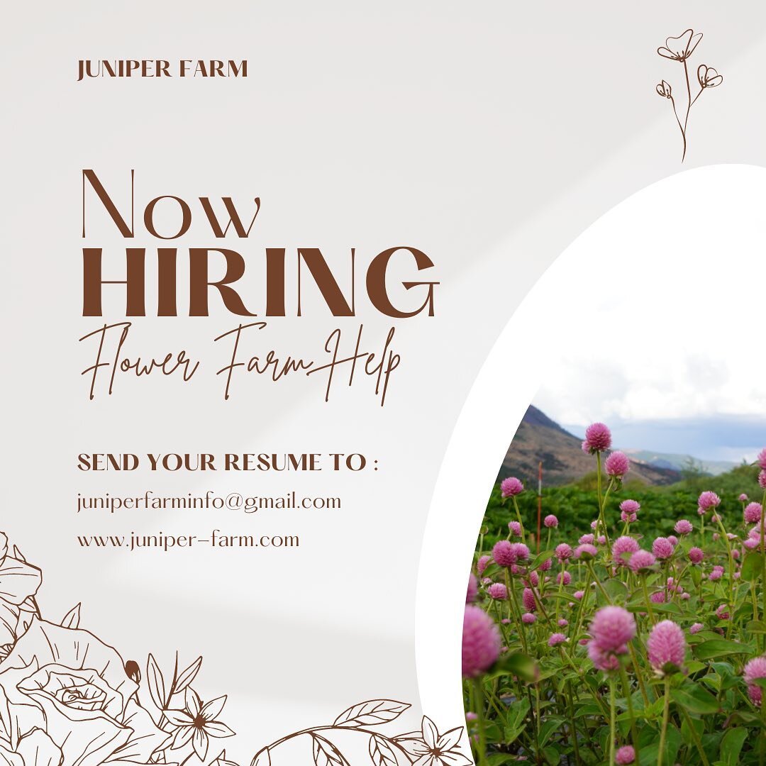 Come work with me this summer!
If you are interested, please visit my website to learn more.