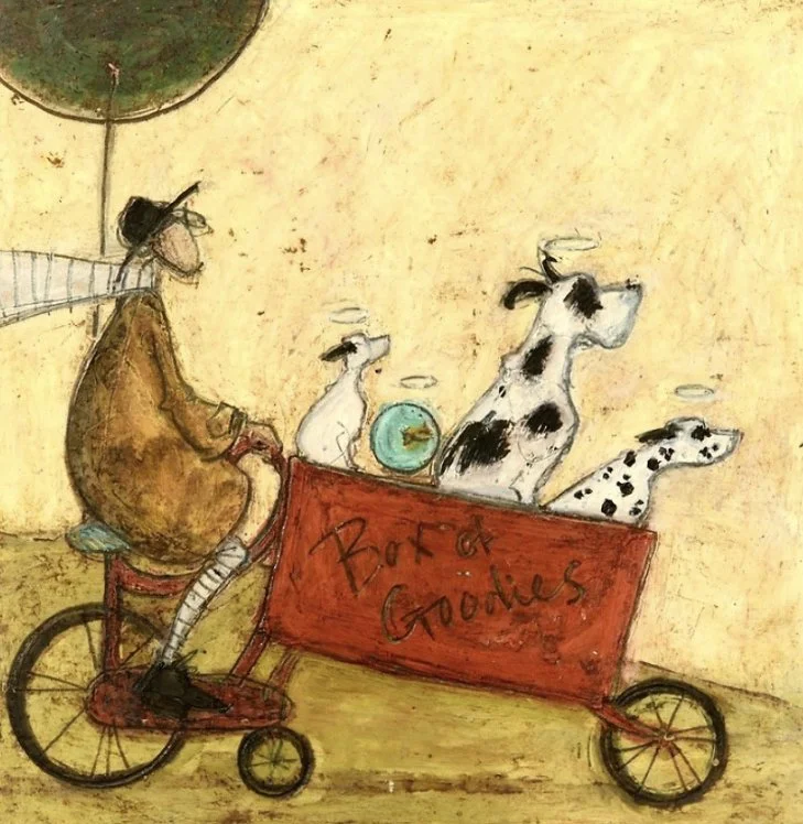 Box of goodies sam toft.jpg