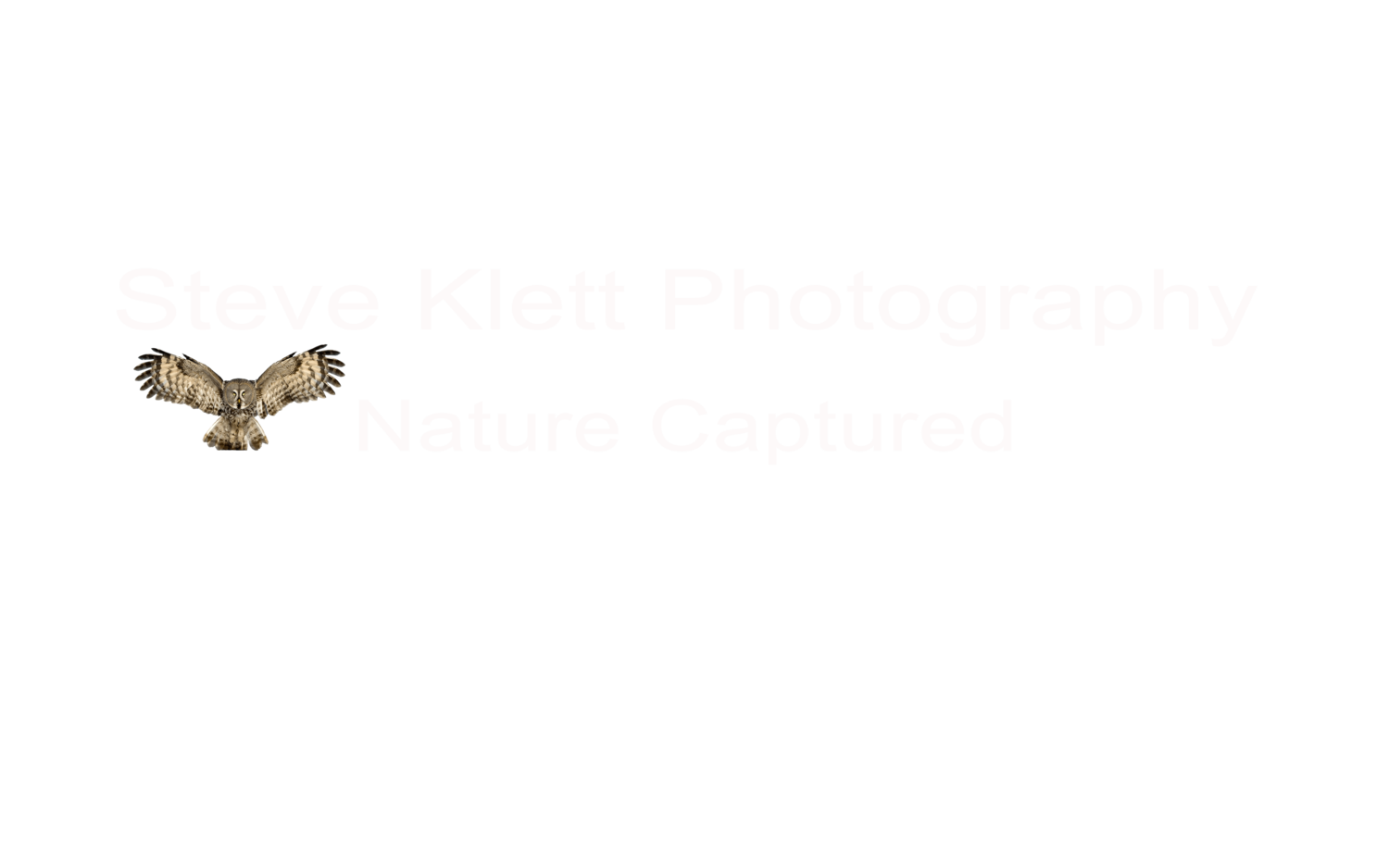 Steve Klett Photography