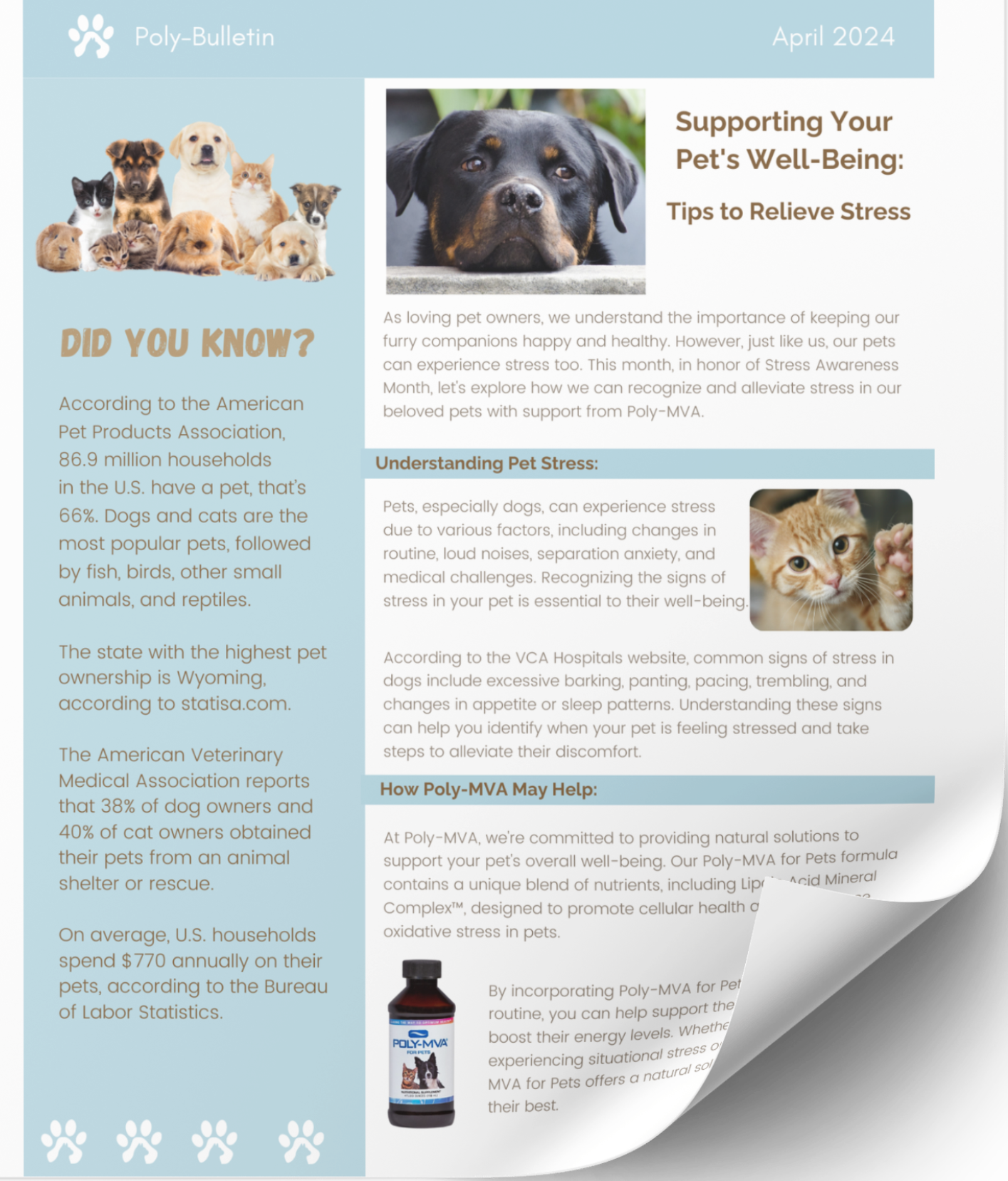 Bulletin covers (7).png