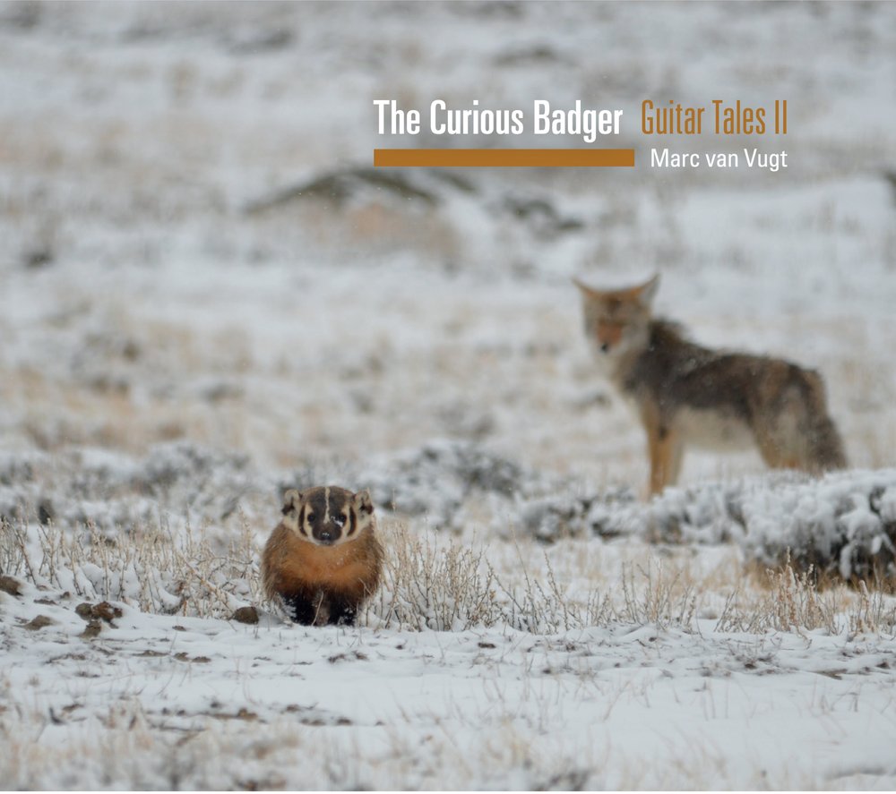 The Curious Badger cover.jpg