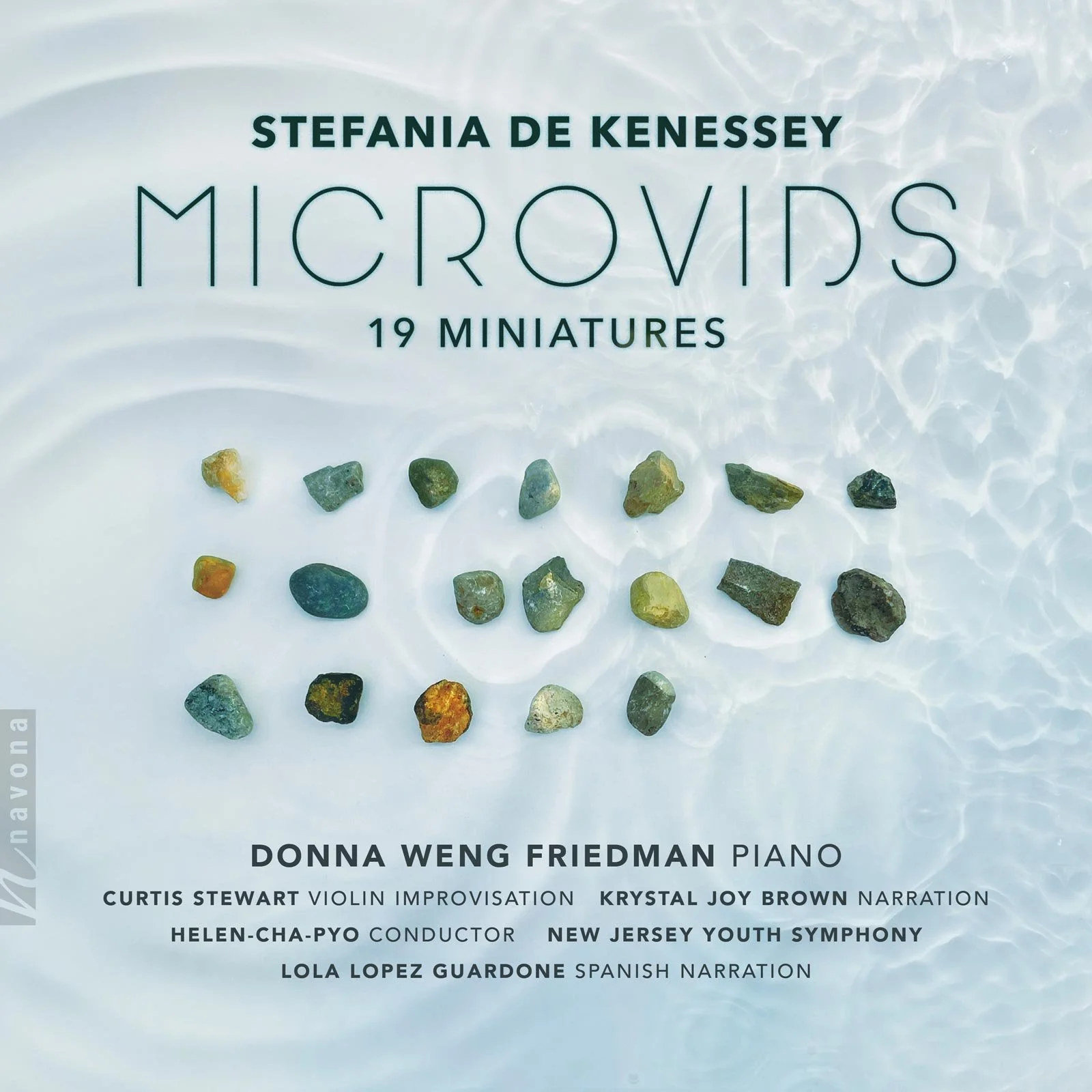 Microvids album cover.jpg