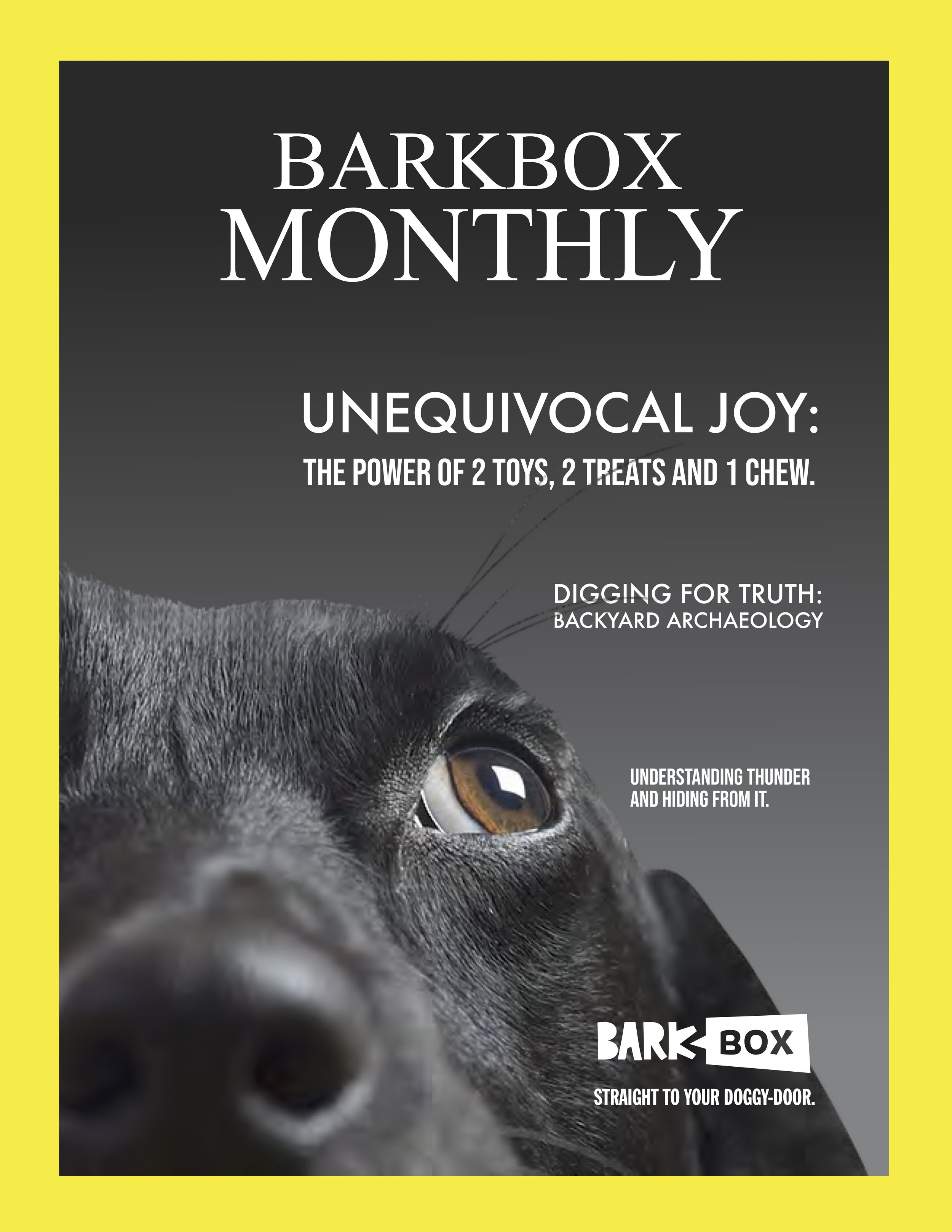 BARKBOX_BESSER_BOLLONG3.jpg