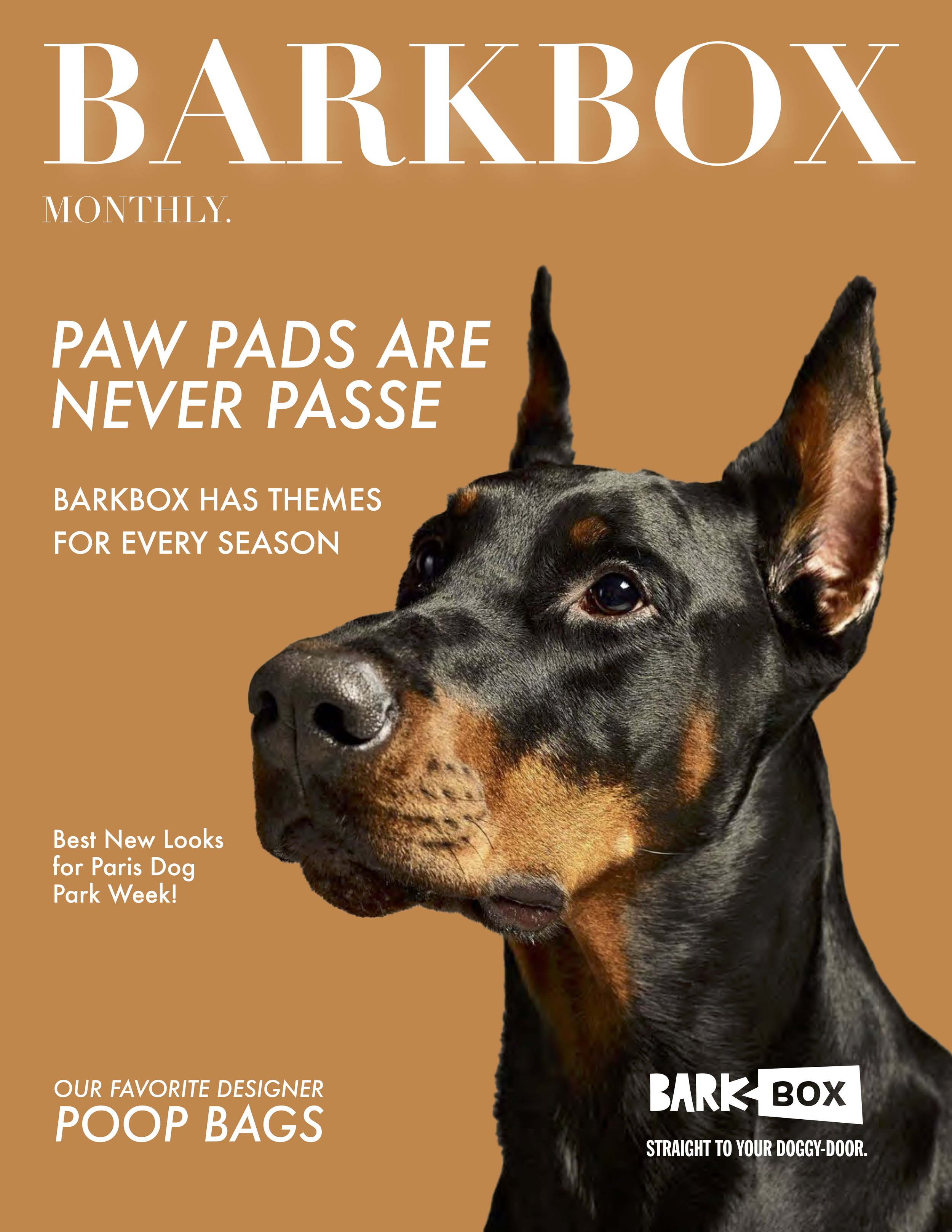 BARKBOX_BESSER_BOLLONG.jpg