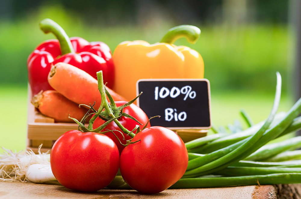 Terre-mere-legumes-bio.jpeg