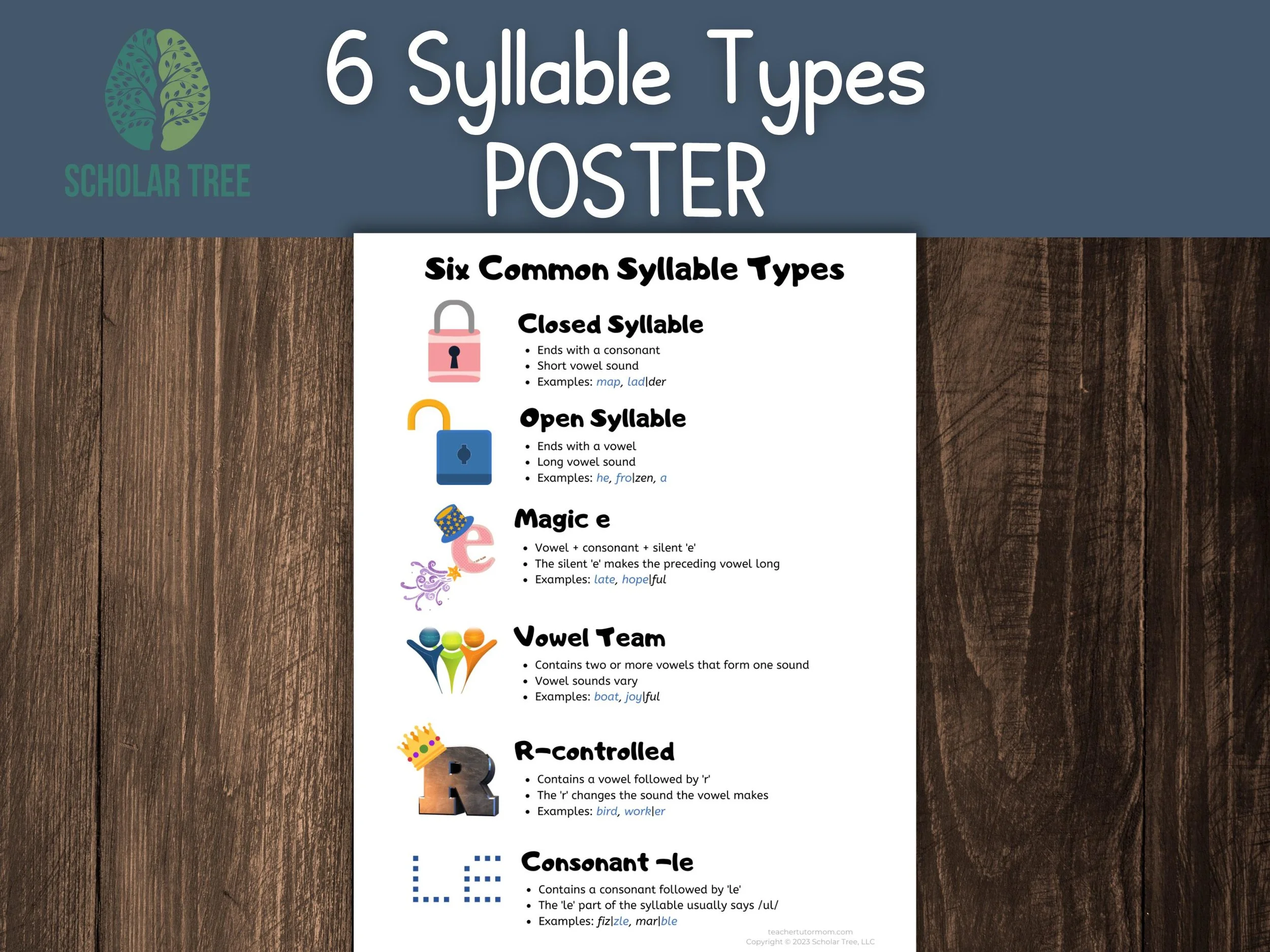 https://i.etsystatic.com/41797117/r/il/b13351/6664442952/il_fullxfull.6664442952_te16.jpg