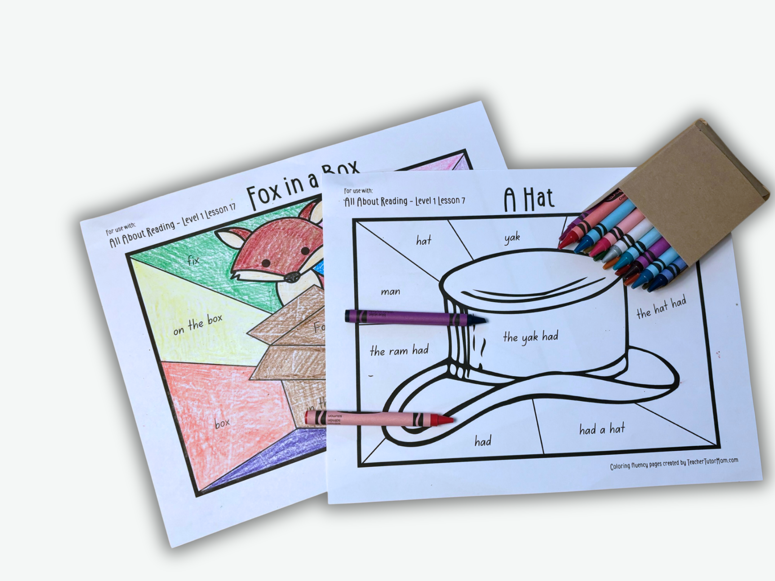 AAR Level 1 Supplement