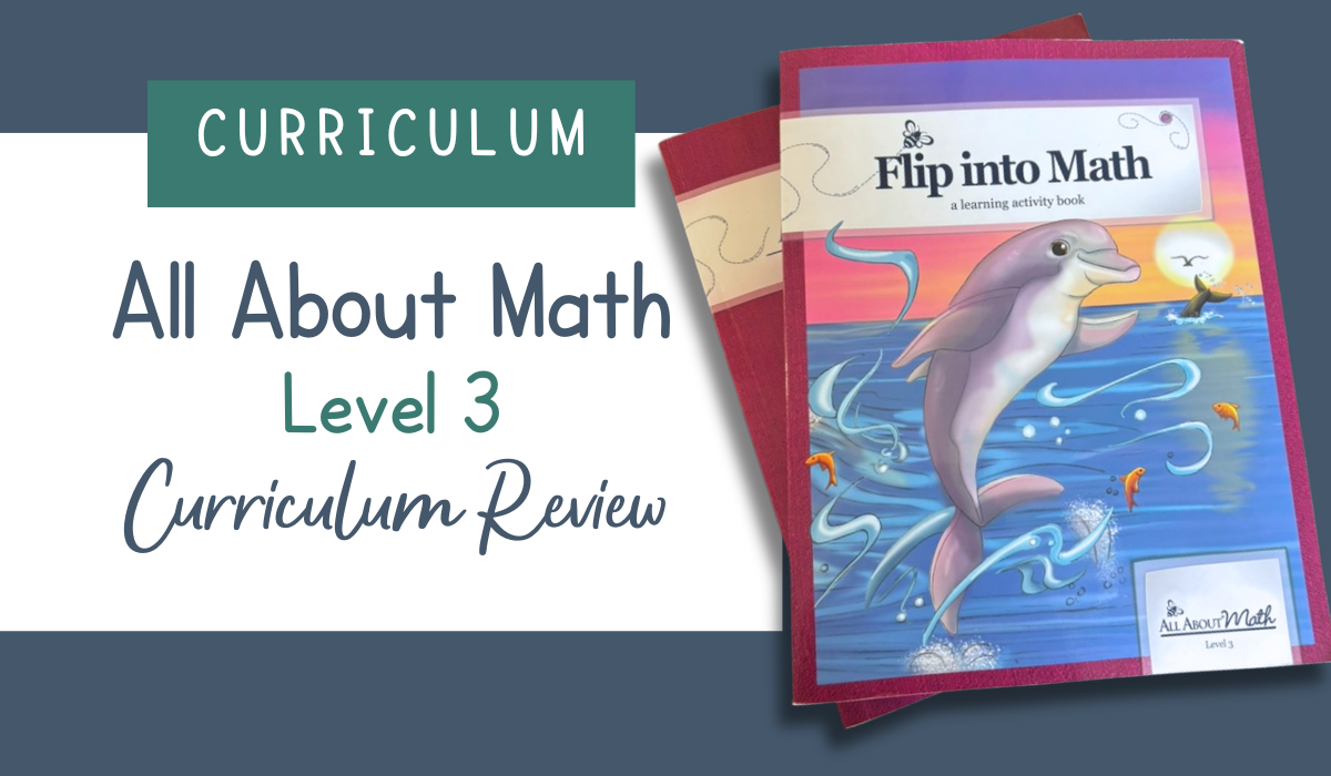 Promotional graphic for "All About Math Level 3 Curriculum Review" featuring the "Flip into Math" activity book cover with a leaping dolphin illustration against a sunset ocean background.