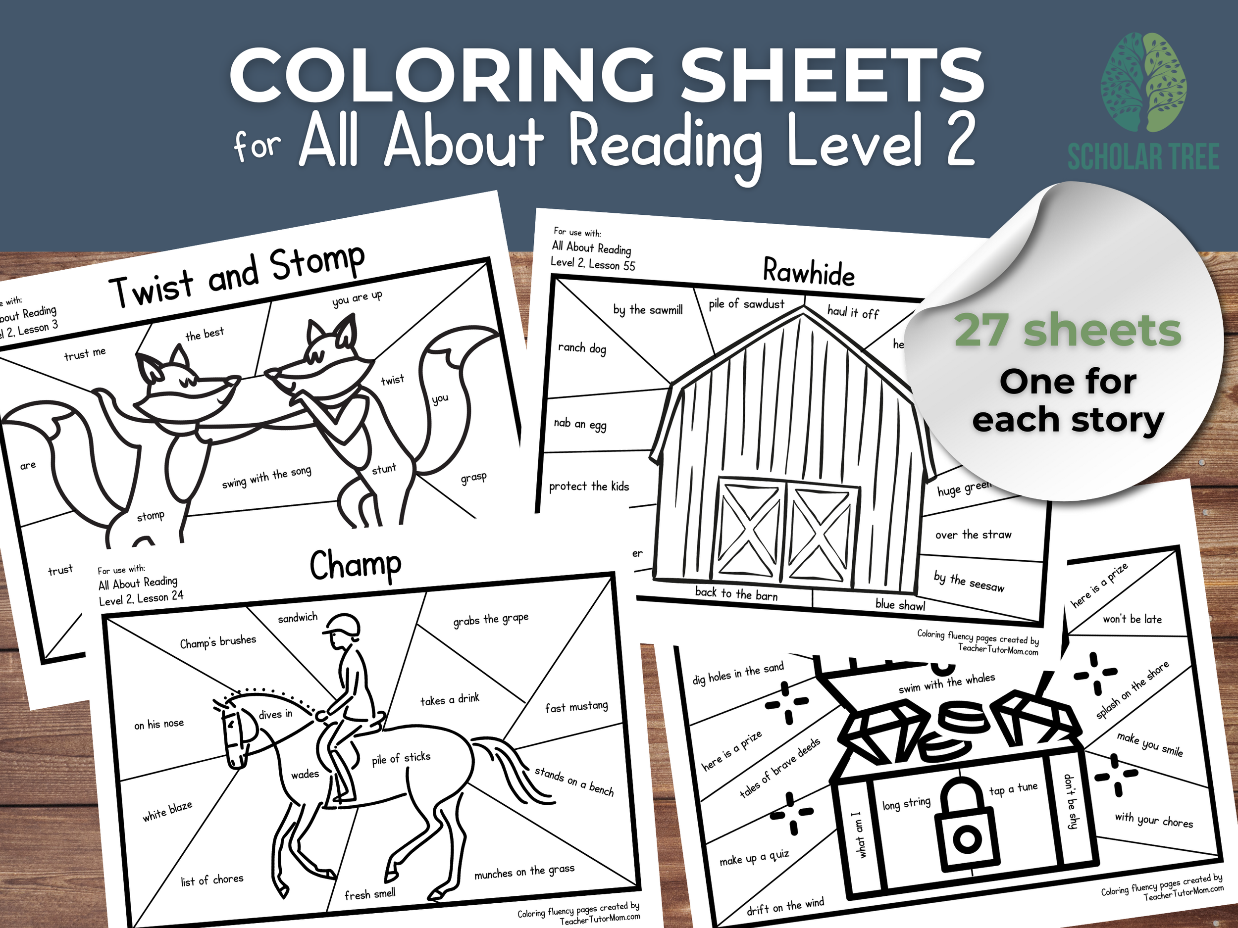 AAR2-Coloring-fluency-cover.png